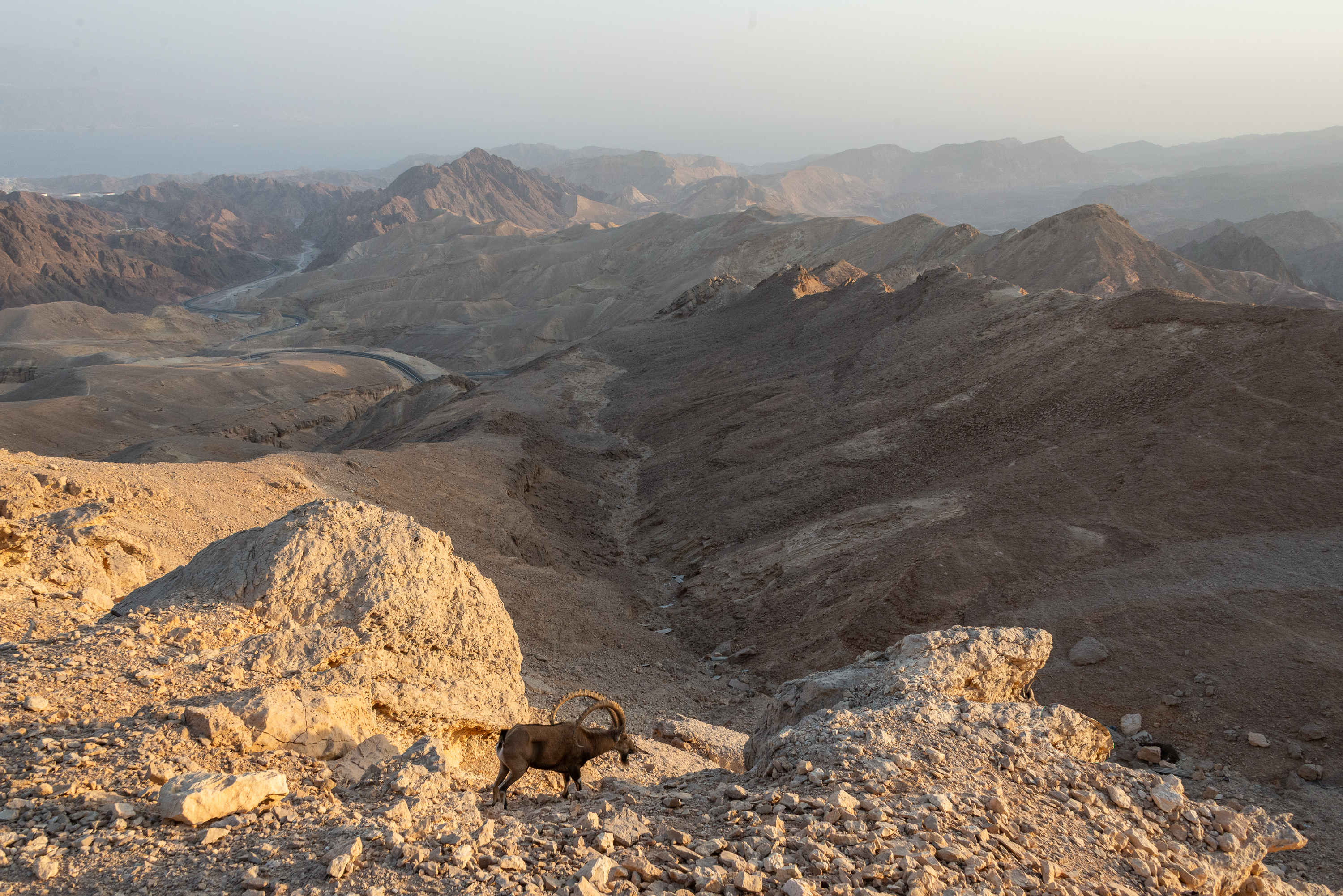 , Vladimir Bragilevsky