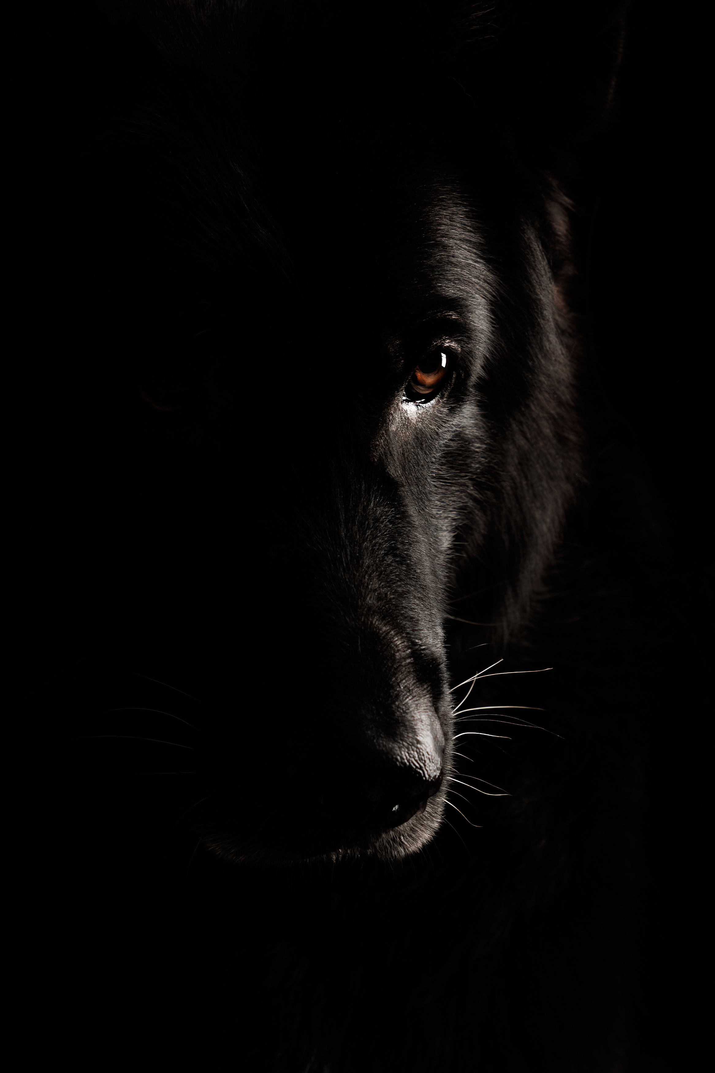 , Яна Нарбутович