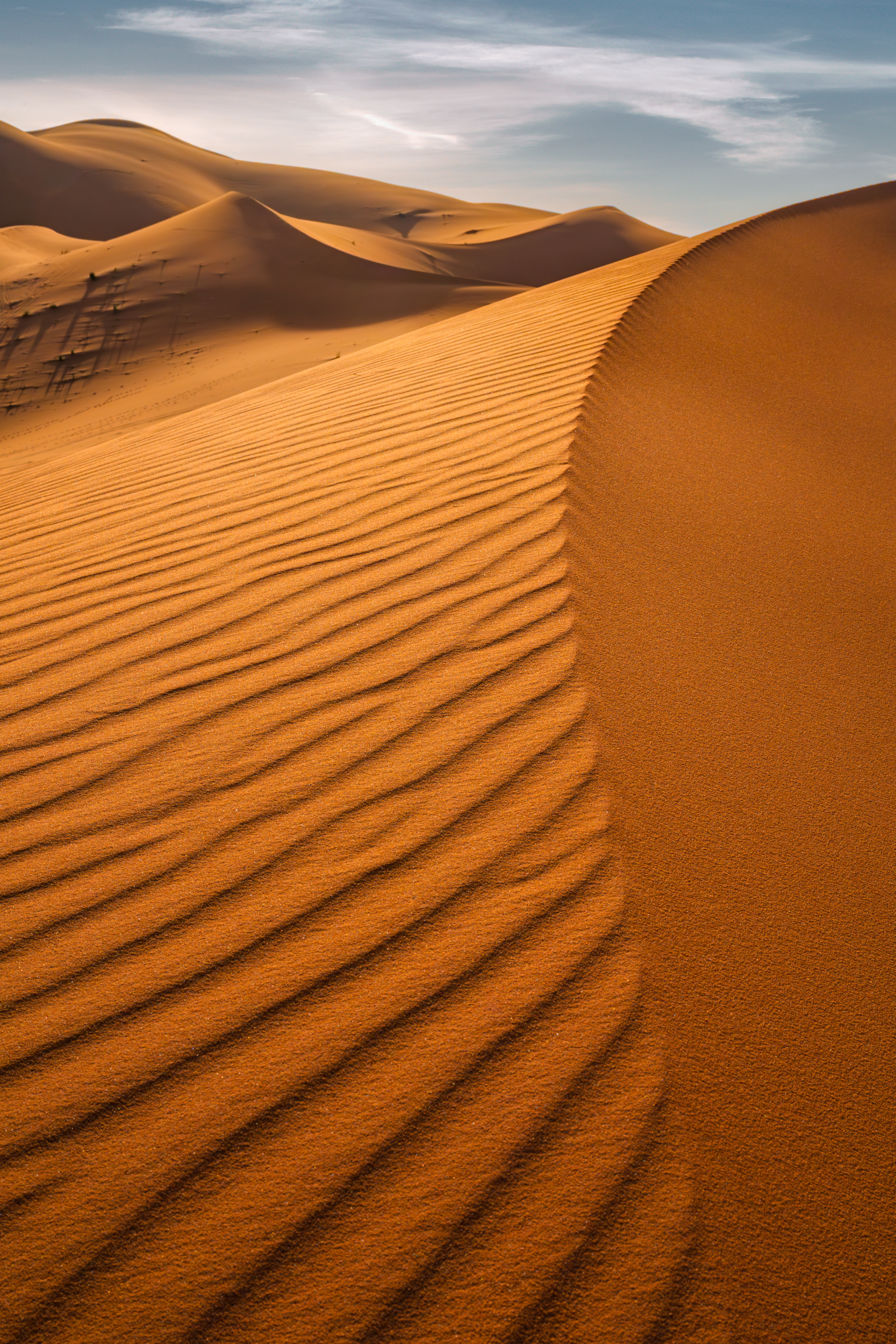 maroc, marocco, sahara desert, desert, sand, orange, light, марокко, пустыня, сахара, пейзаж, дюны, песок , Kaznov Stanislav