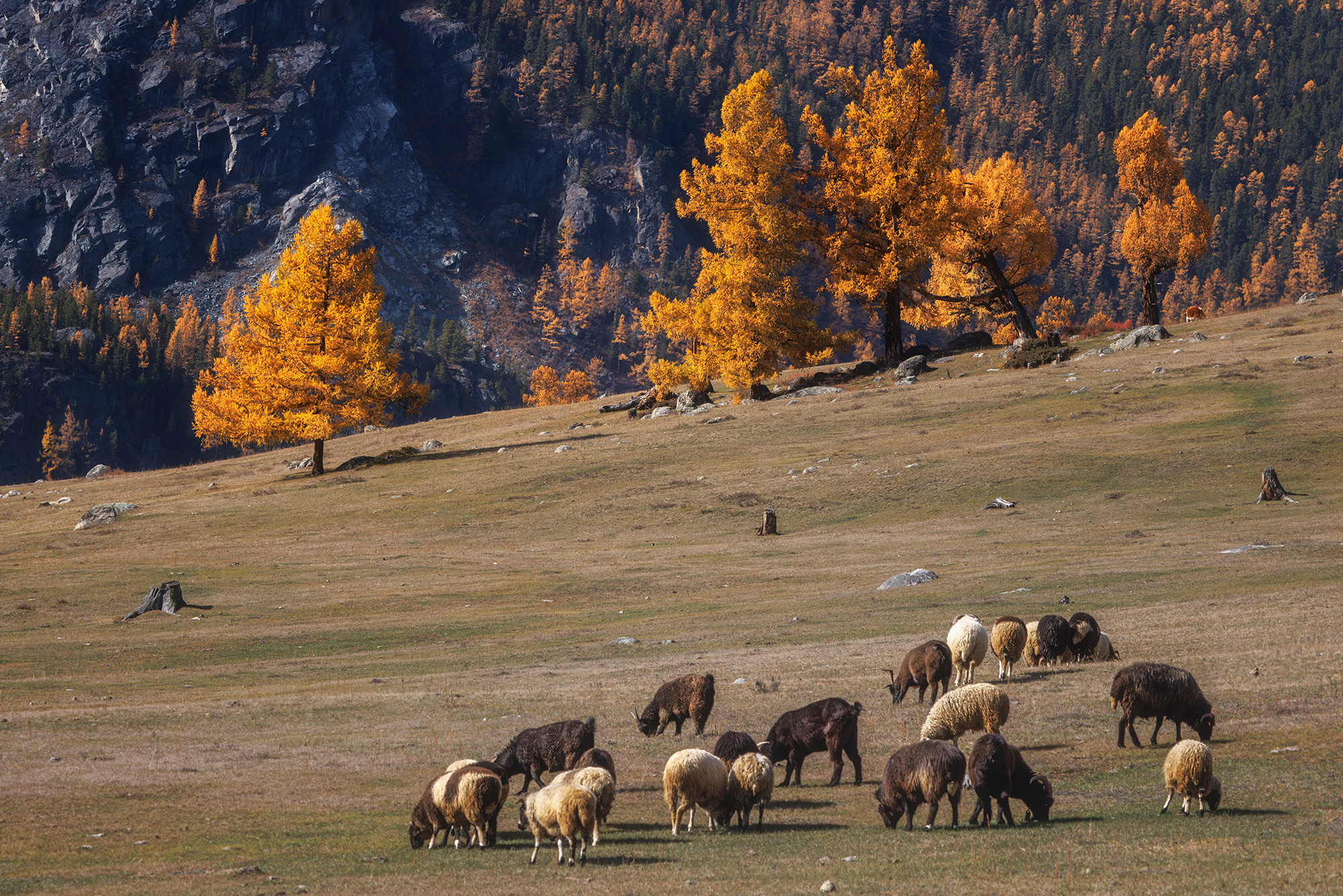 , Морозов Сергей