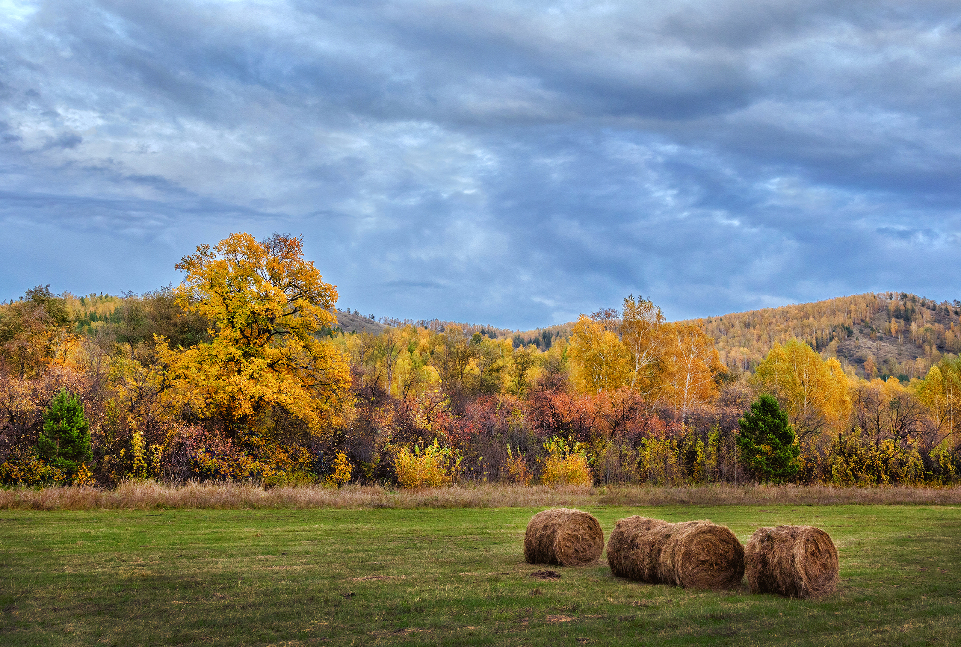 , Ушаков Валерий