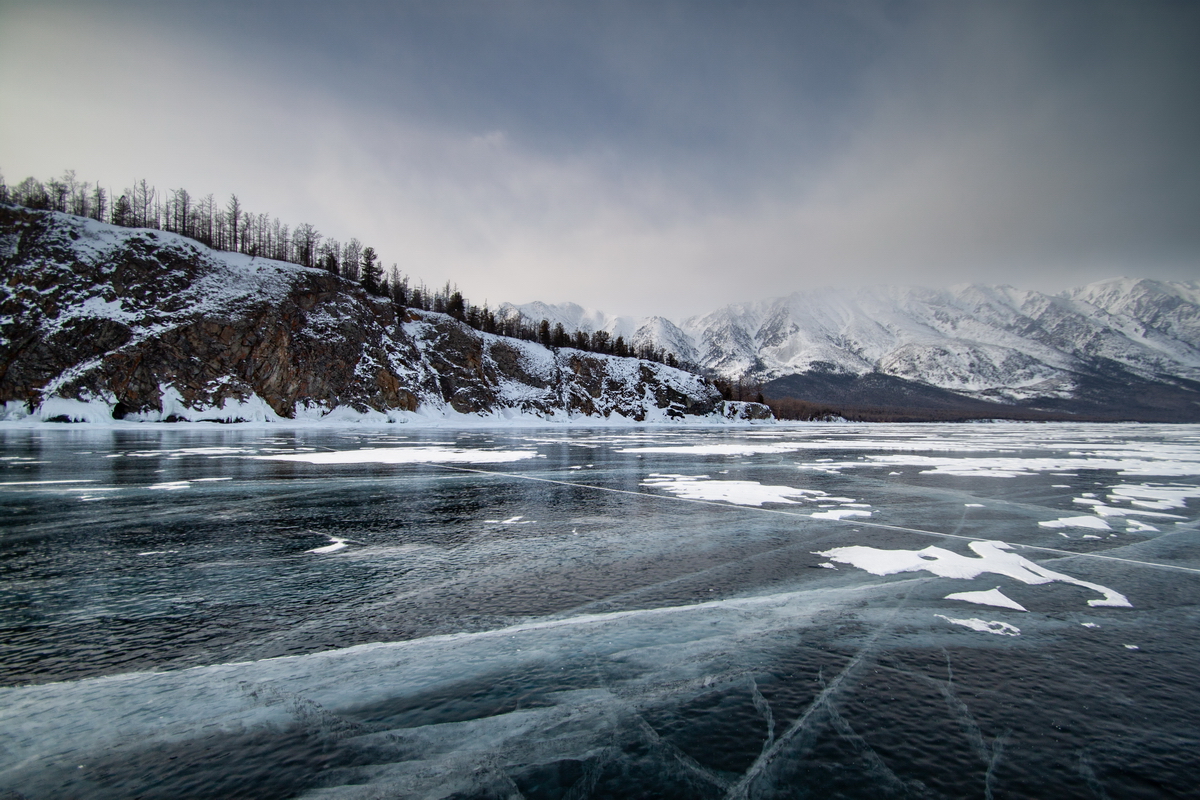 , Трофимов Алексей