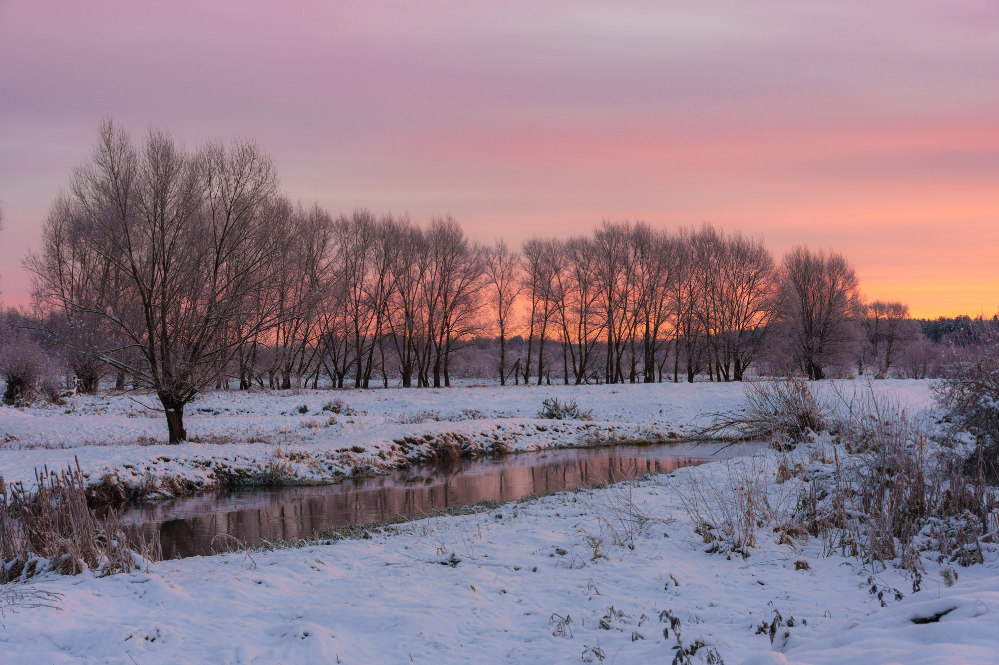 , Добродий Михаил