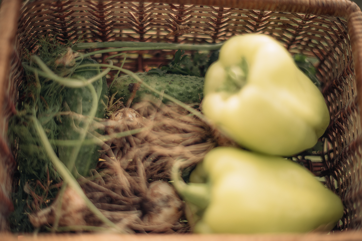 Болгарский перец огурцы кабачки помидоры,  Мария