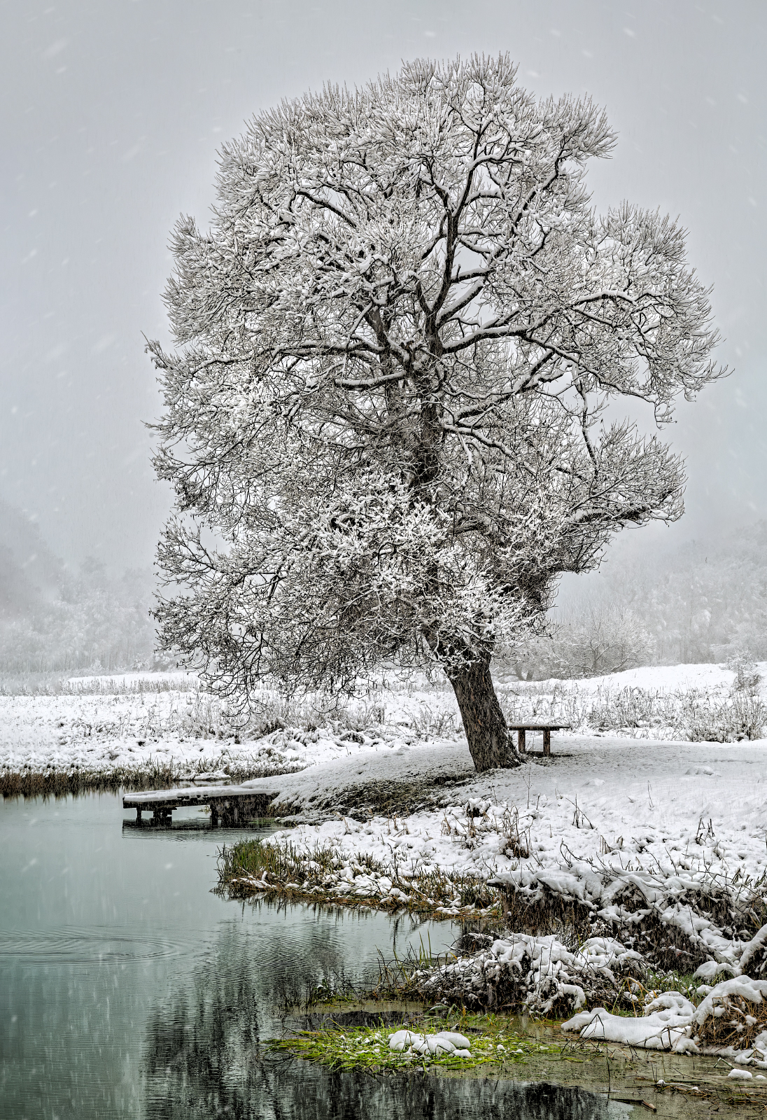 , Евгений Ерохин