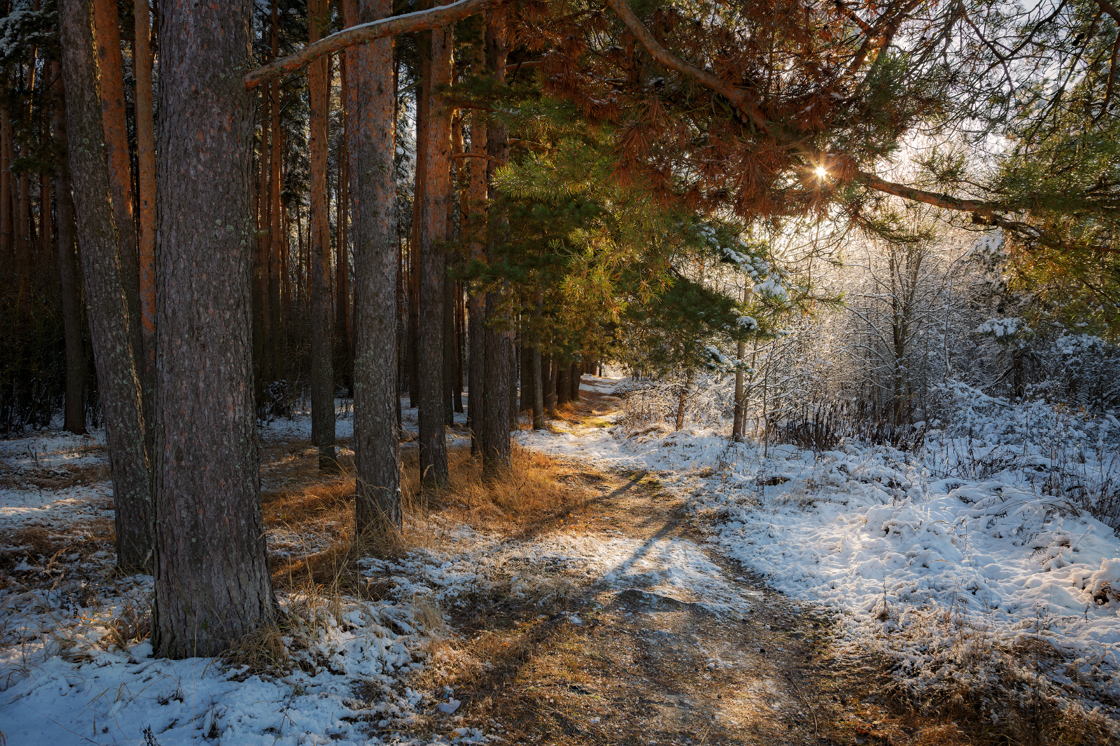 , Евгений Ерохин