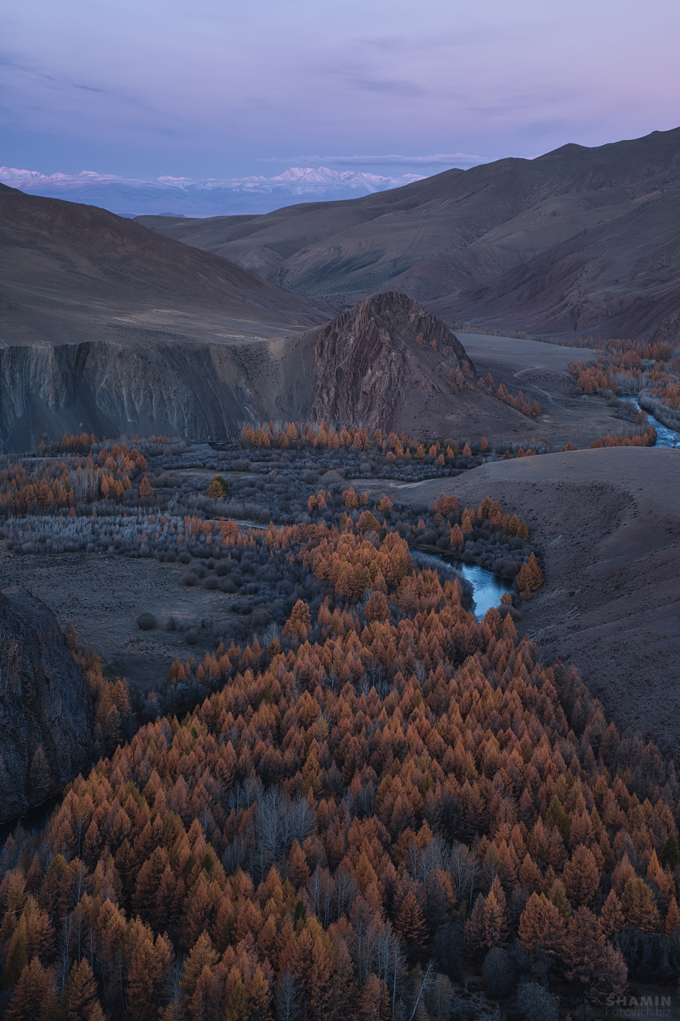 , Константин Шамин