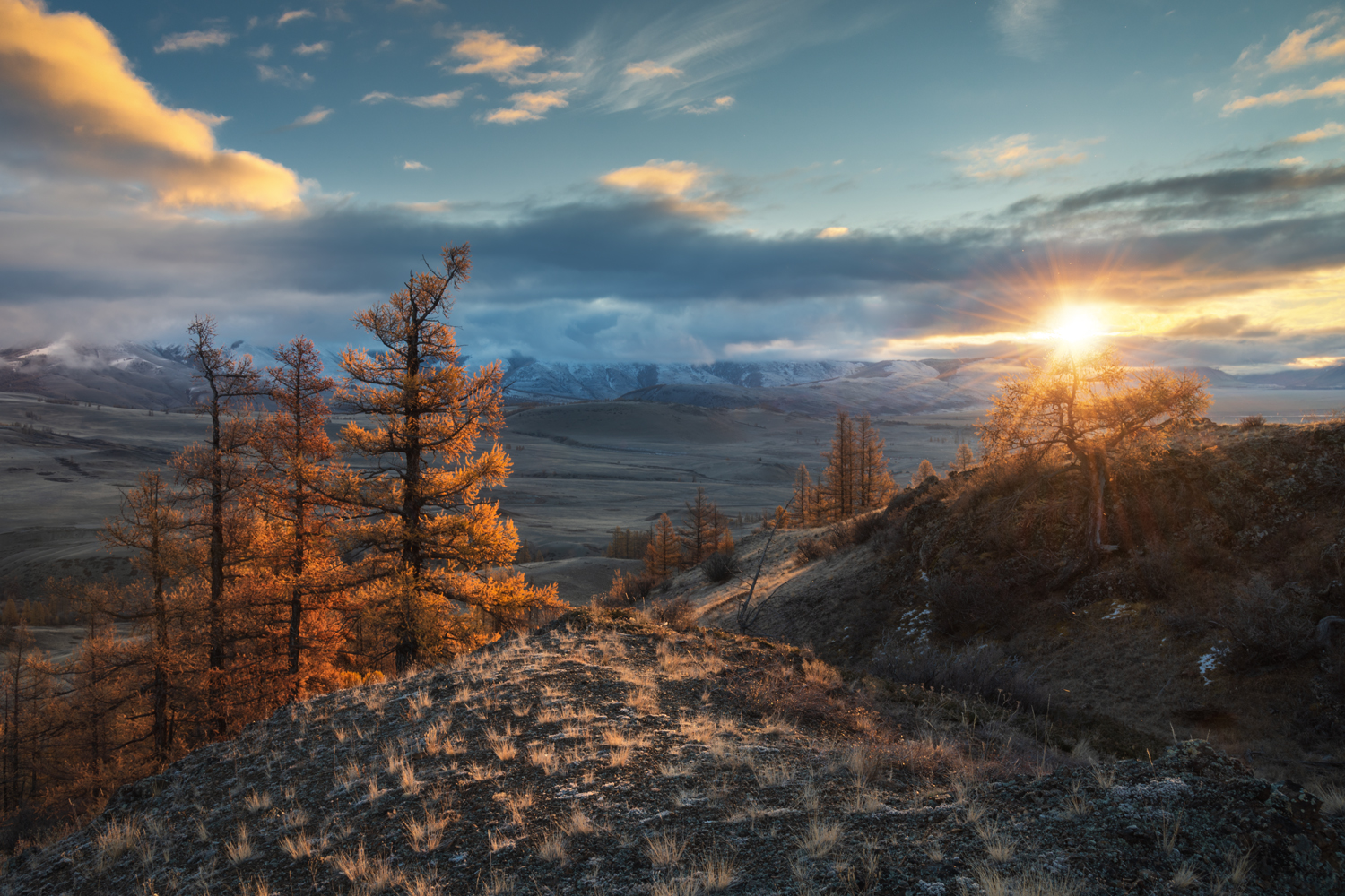 алтай, горный алтай, пейзажи алтая, кош-агачский район, горная степь, золотая осень, горы, осенний алтай, лиственницы, курай, Рубан Алёна