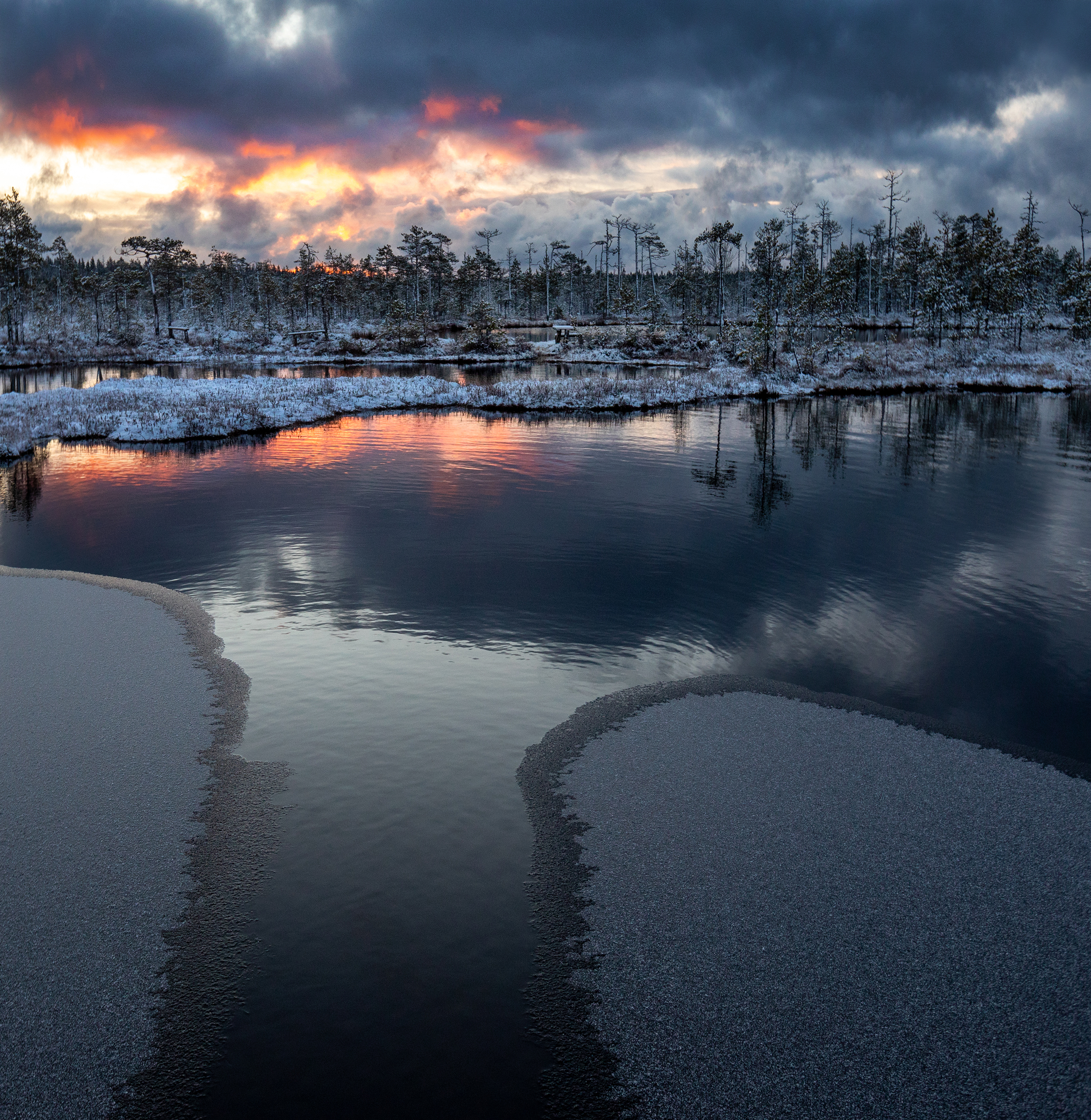 болото, карелия, зима, ноябрь, утро, рассвет, фототур, Павел Ващенков