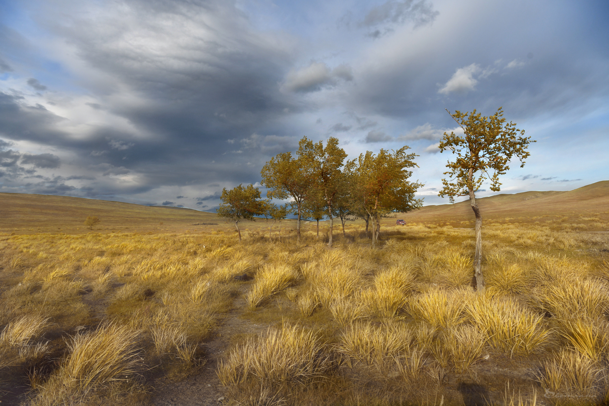 , Крат Светлана