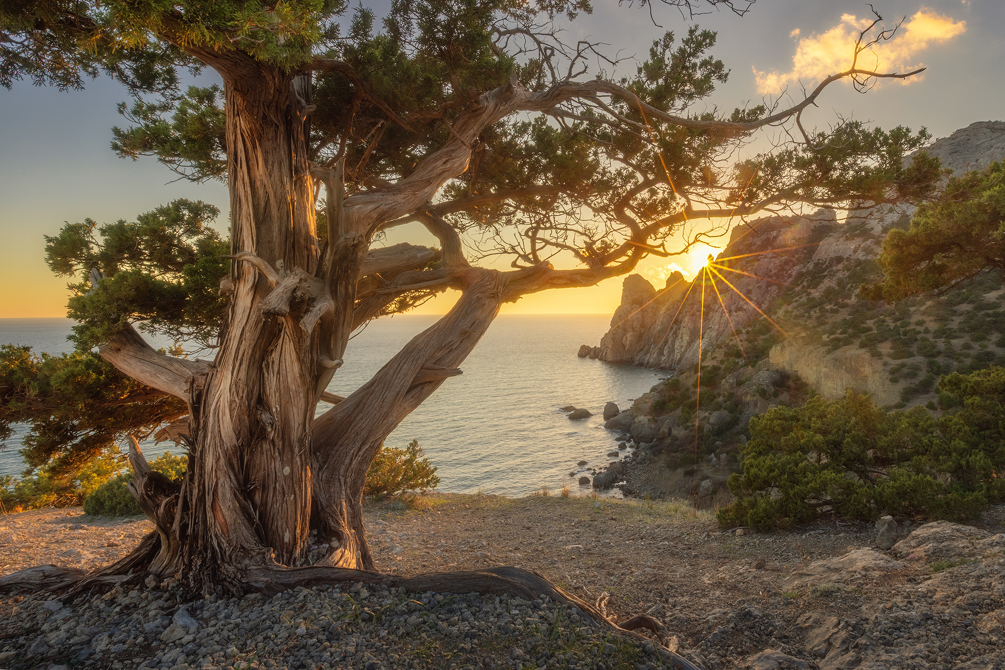 , Костенко Александр