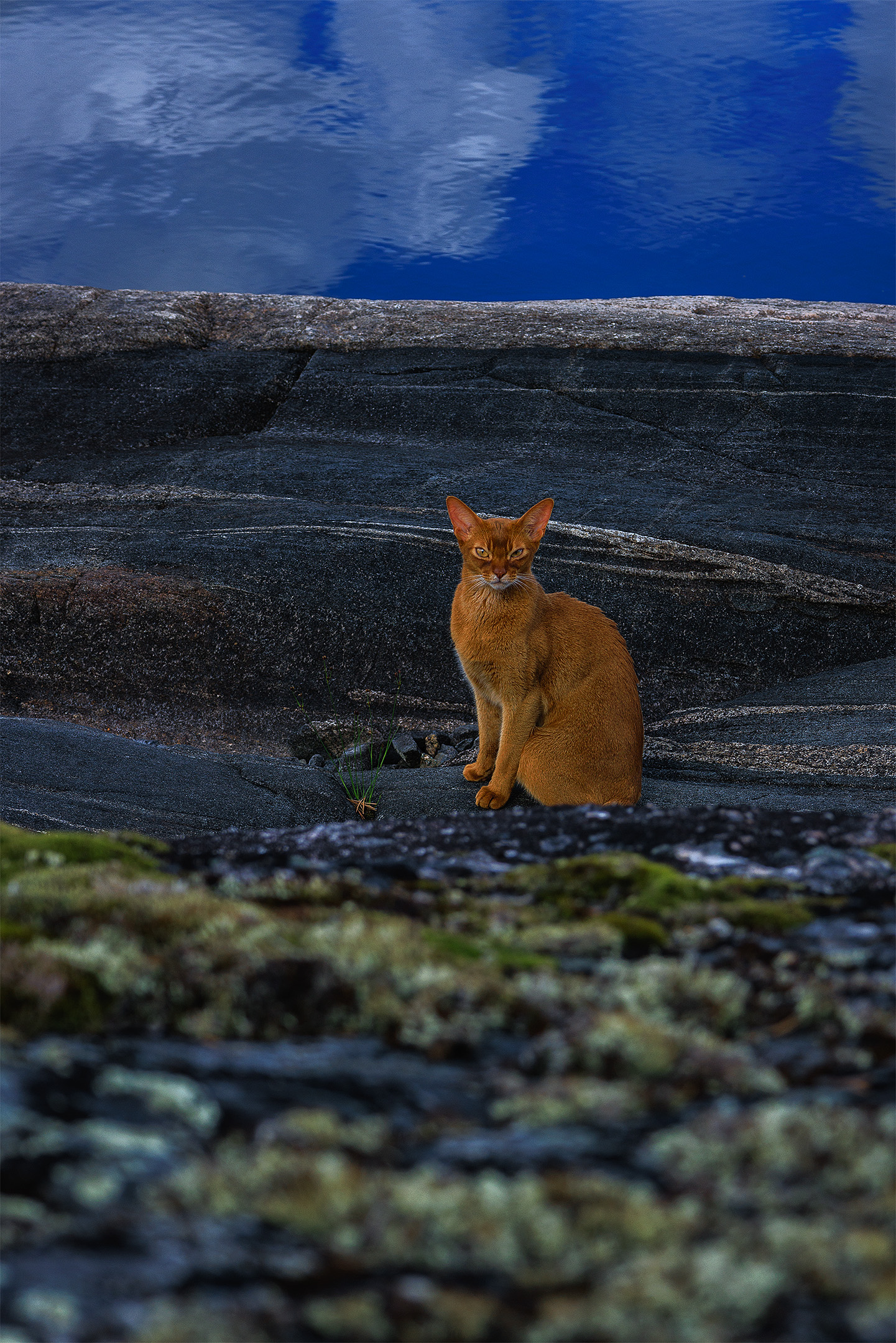 , Елена Михайлова