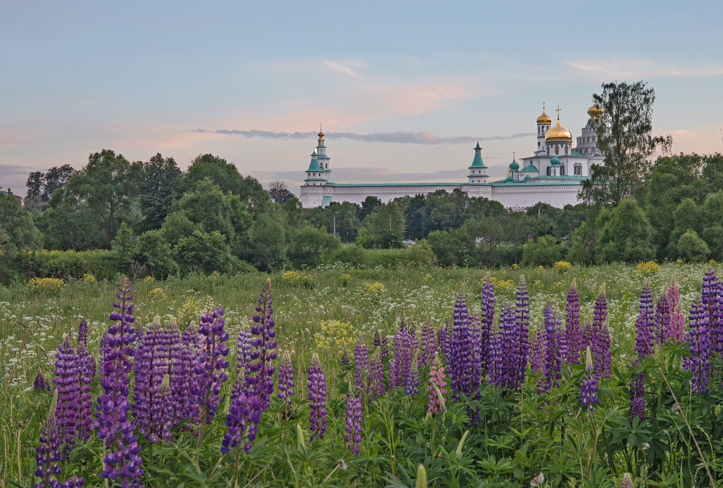 истра, Бирюков Вячеслав