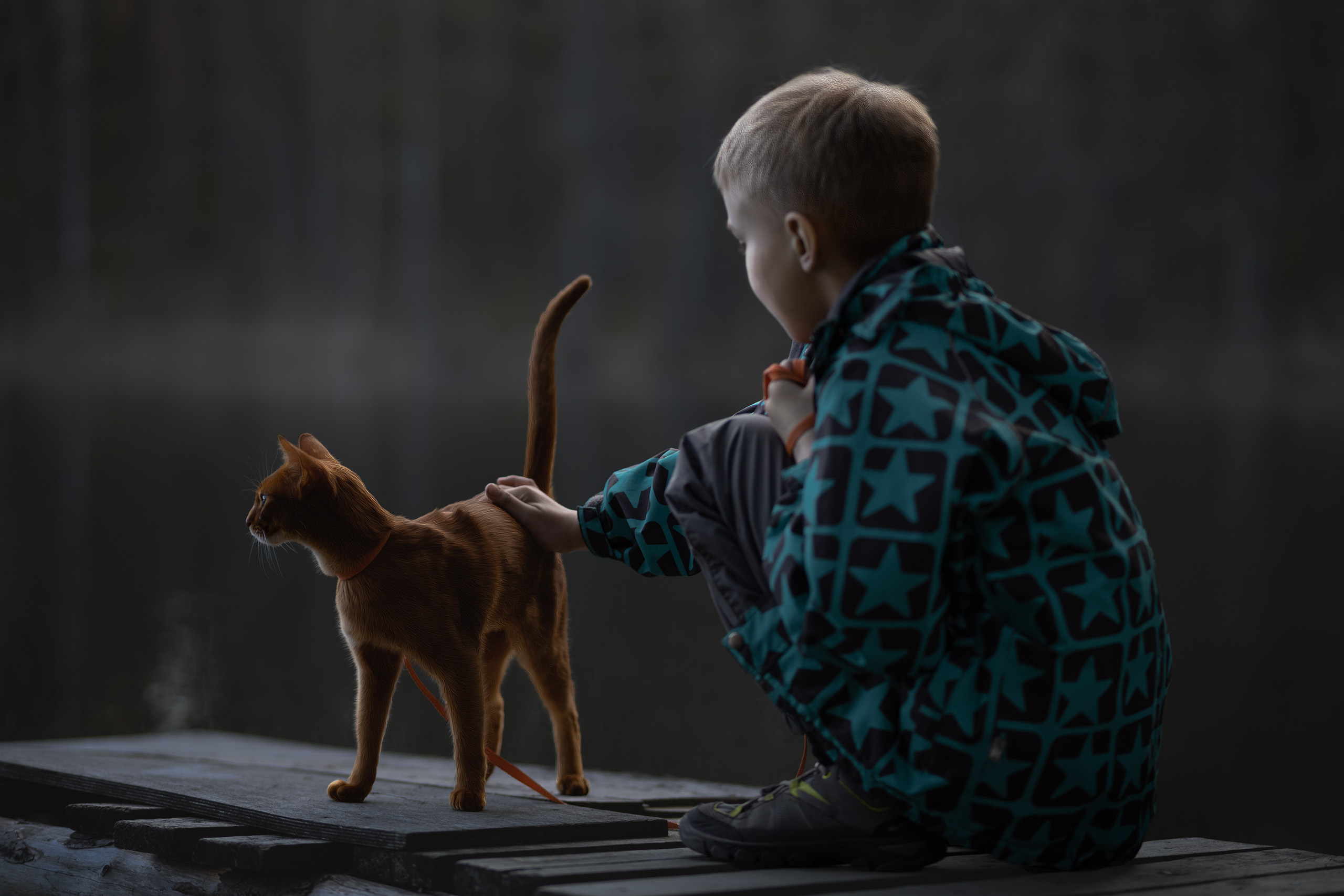 , Елена Михайлова