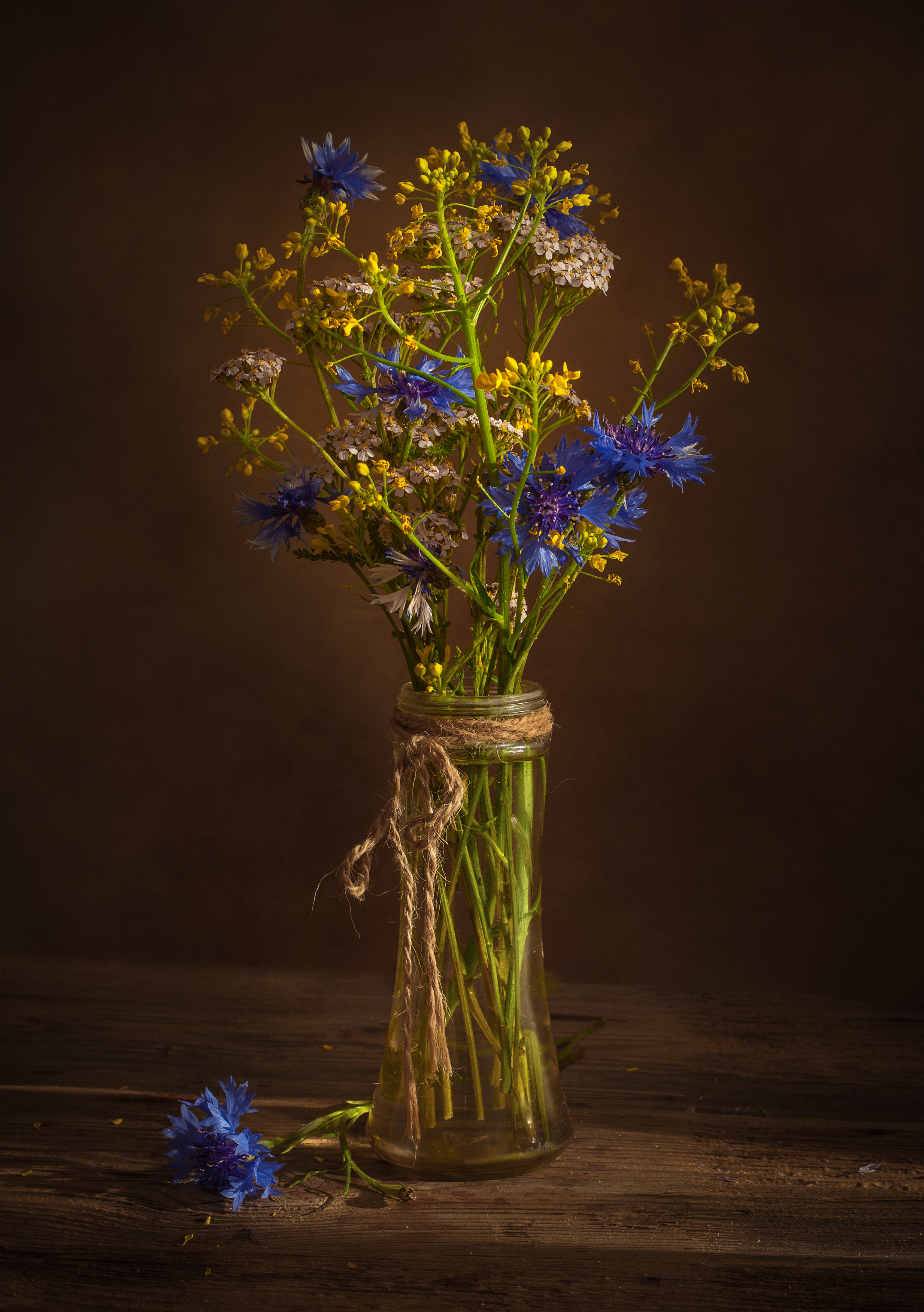 , Хвойнова Елена