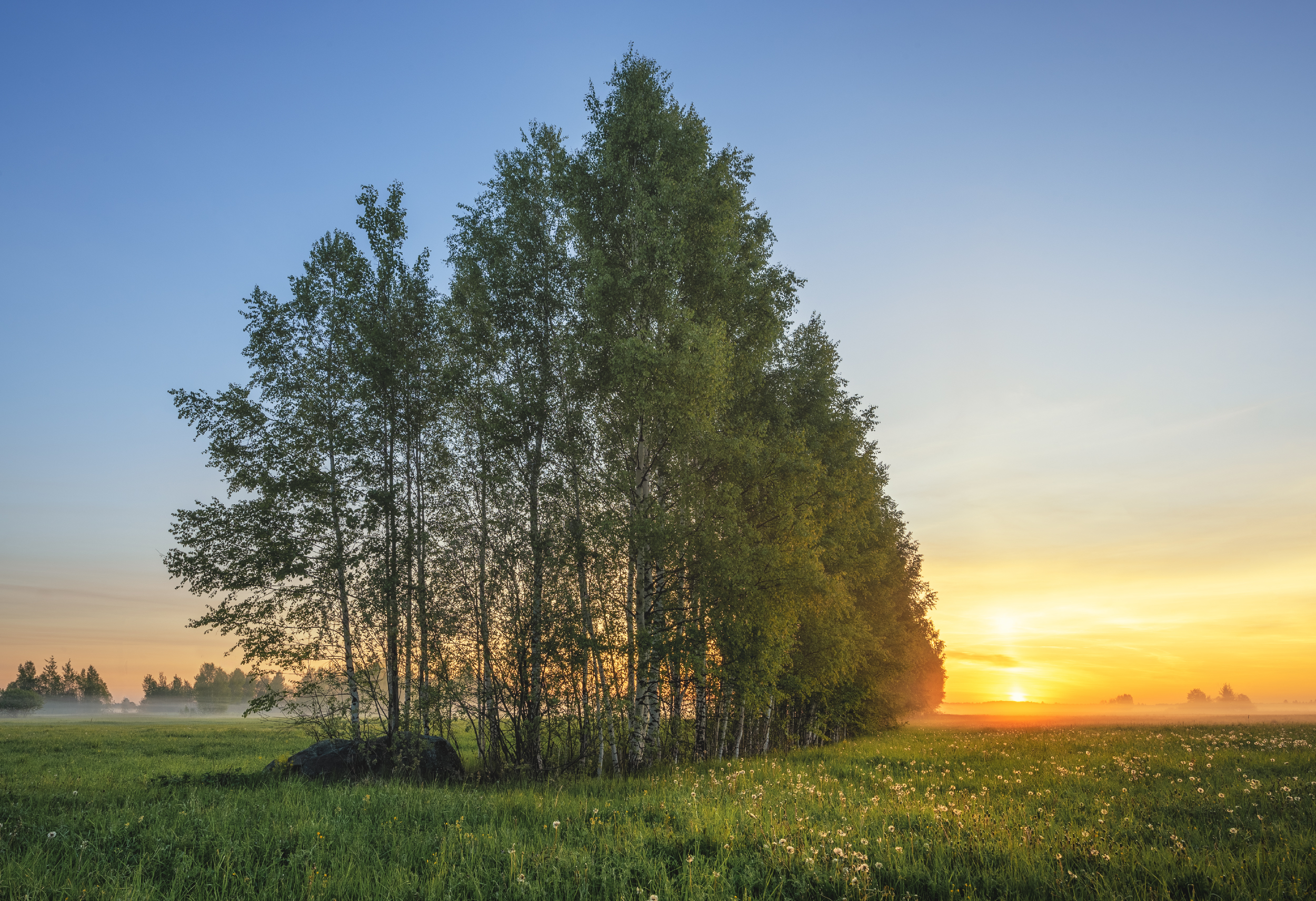 , Аброскин Игорь