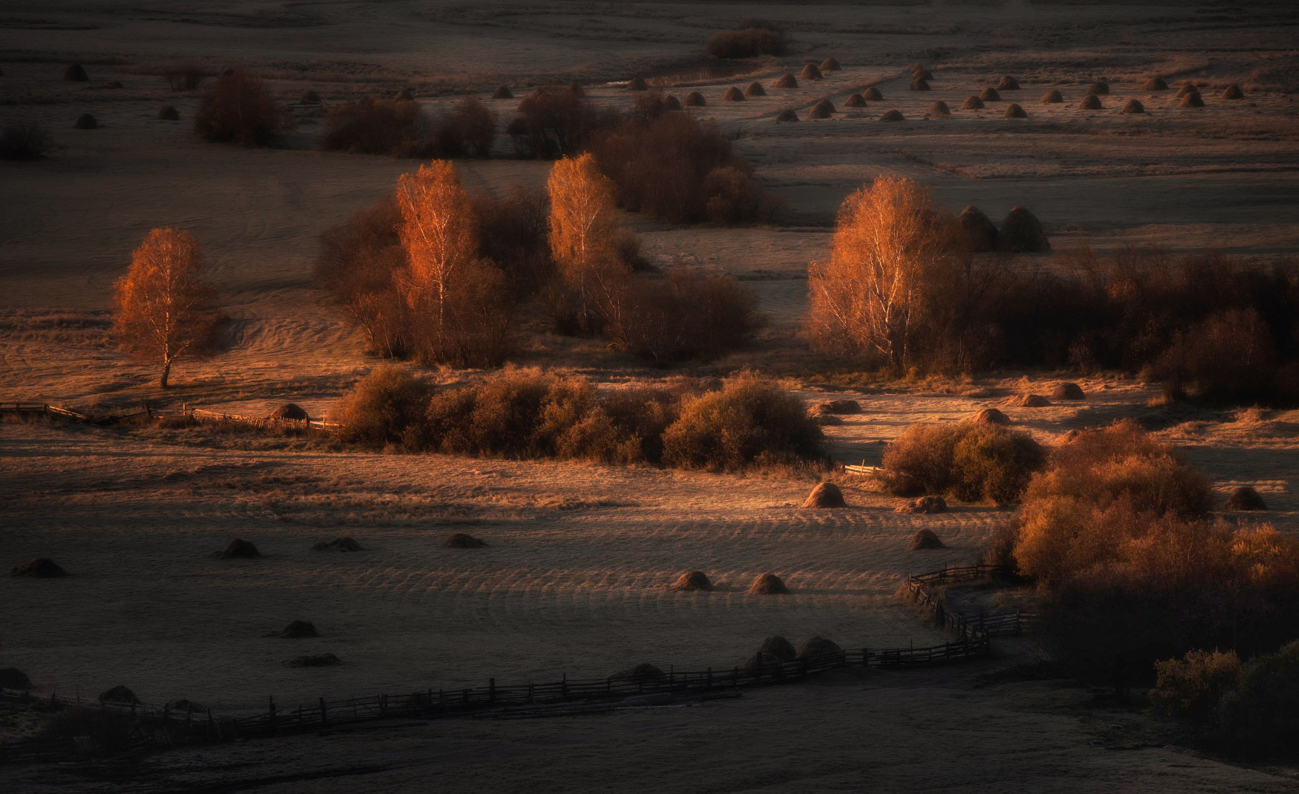 , Бирюкова Татьяна