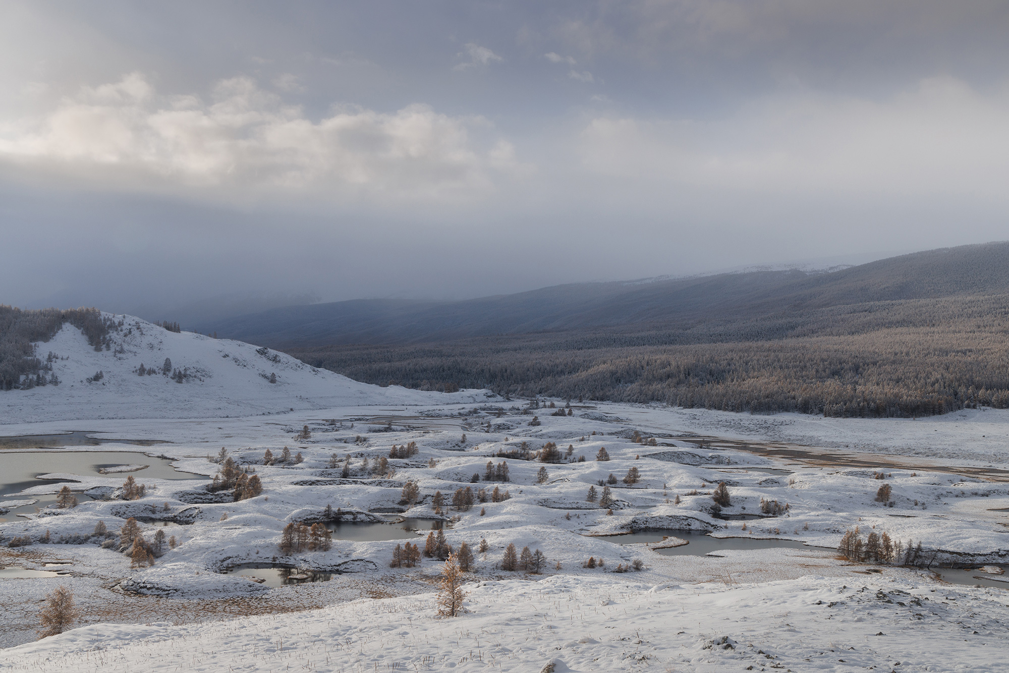 , Морозов Сергей