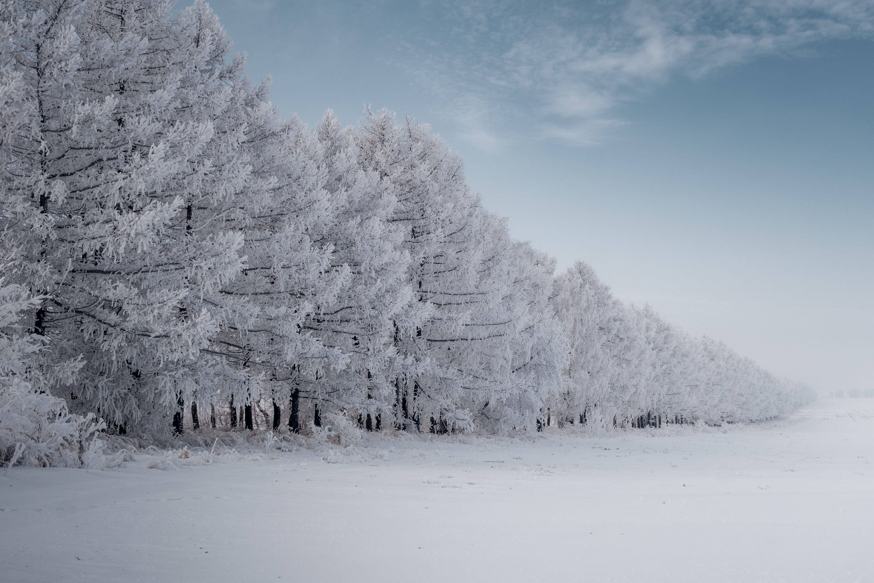 , Иван Сазыкин