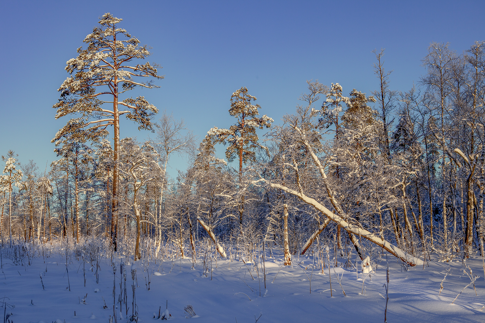 , Aleksandr Mihailov