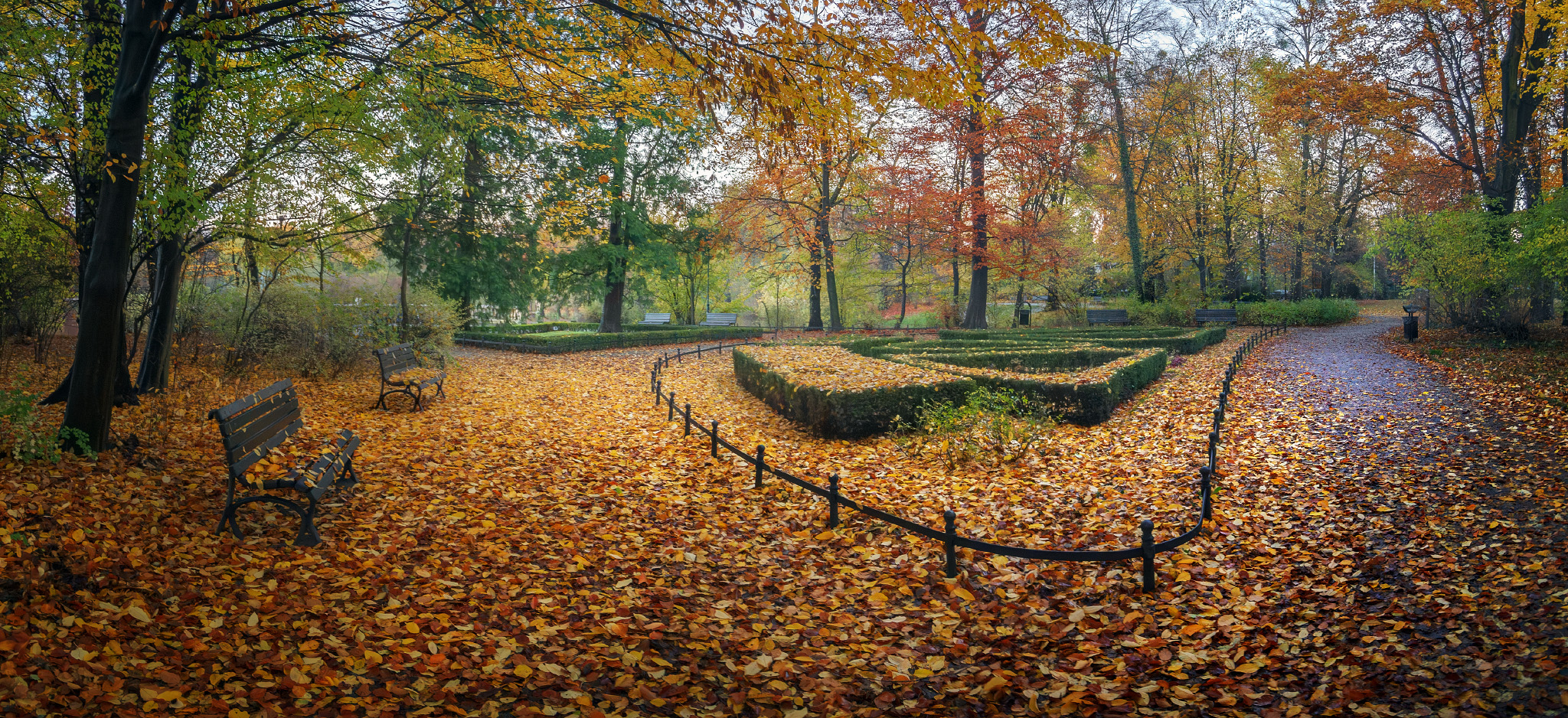 autumn, park, panorama, wroclaw, Виктор Тулбанов
