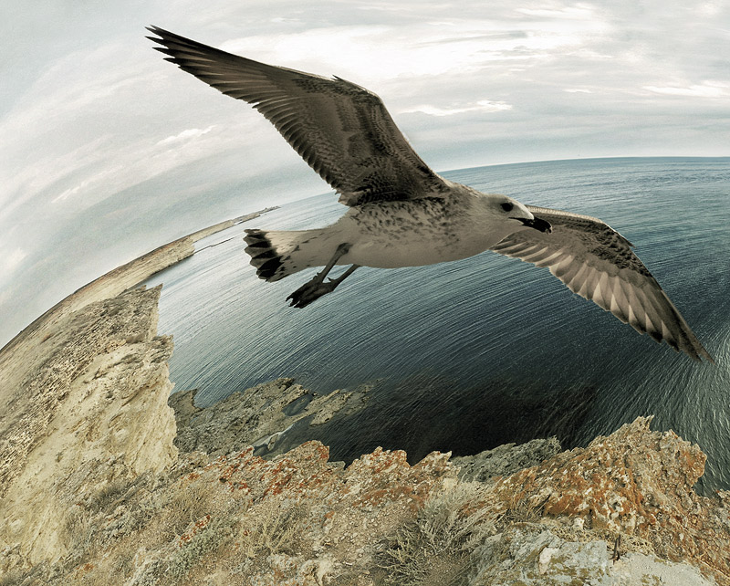 , Капустин Игорь