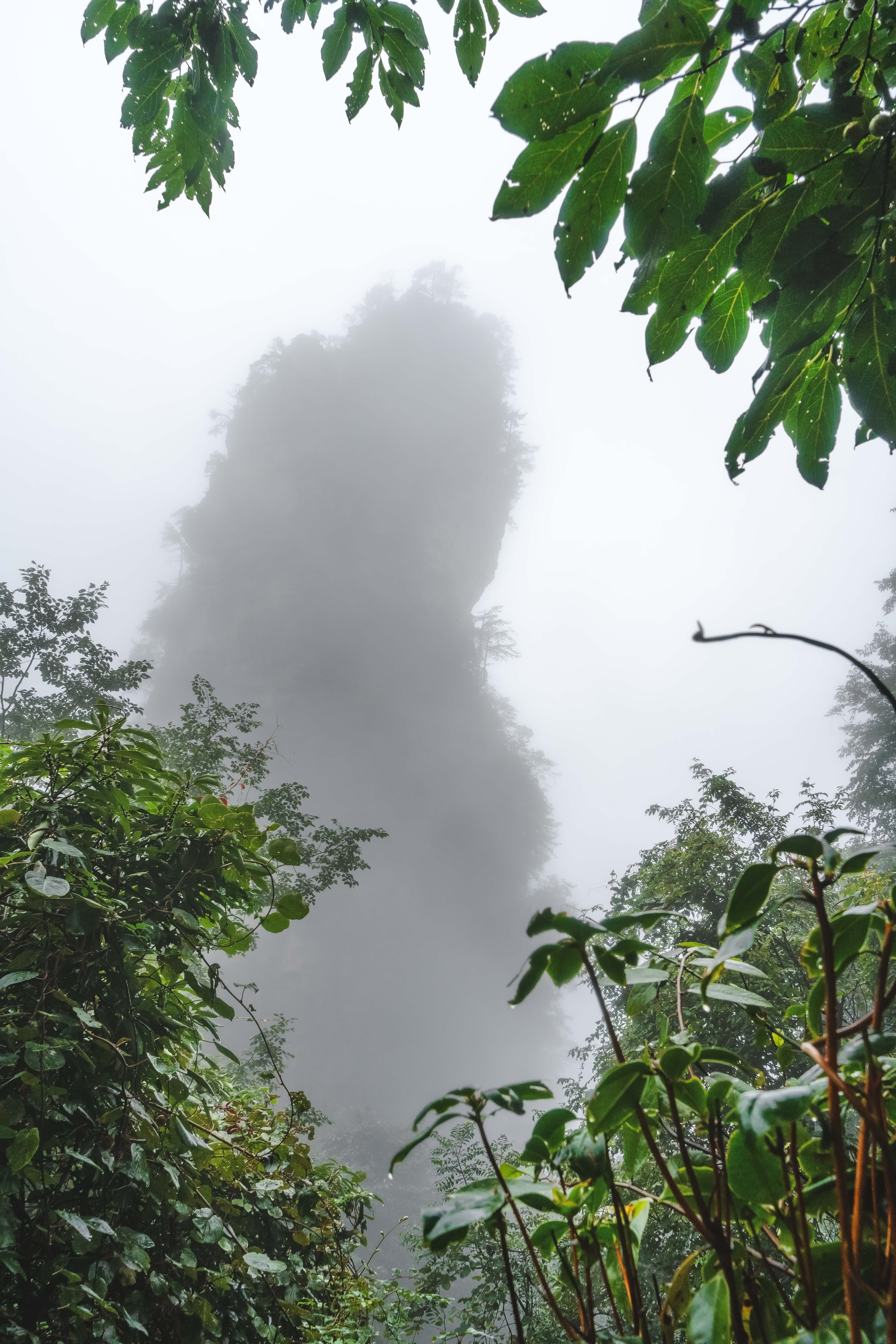 , Важенин Евгений