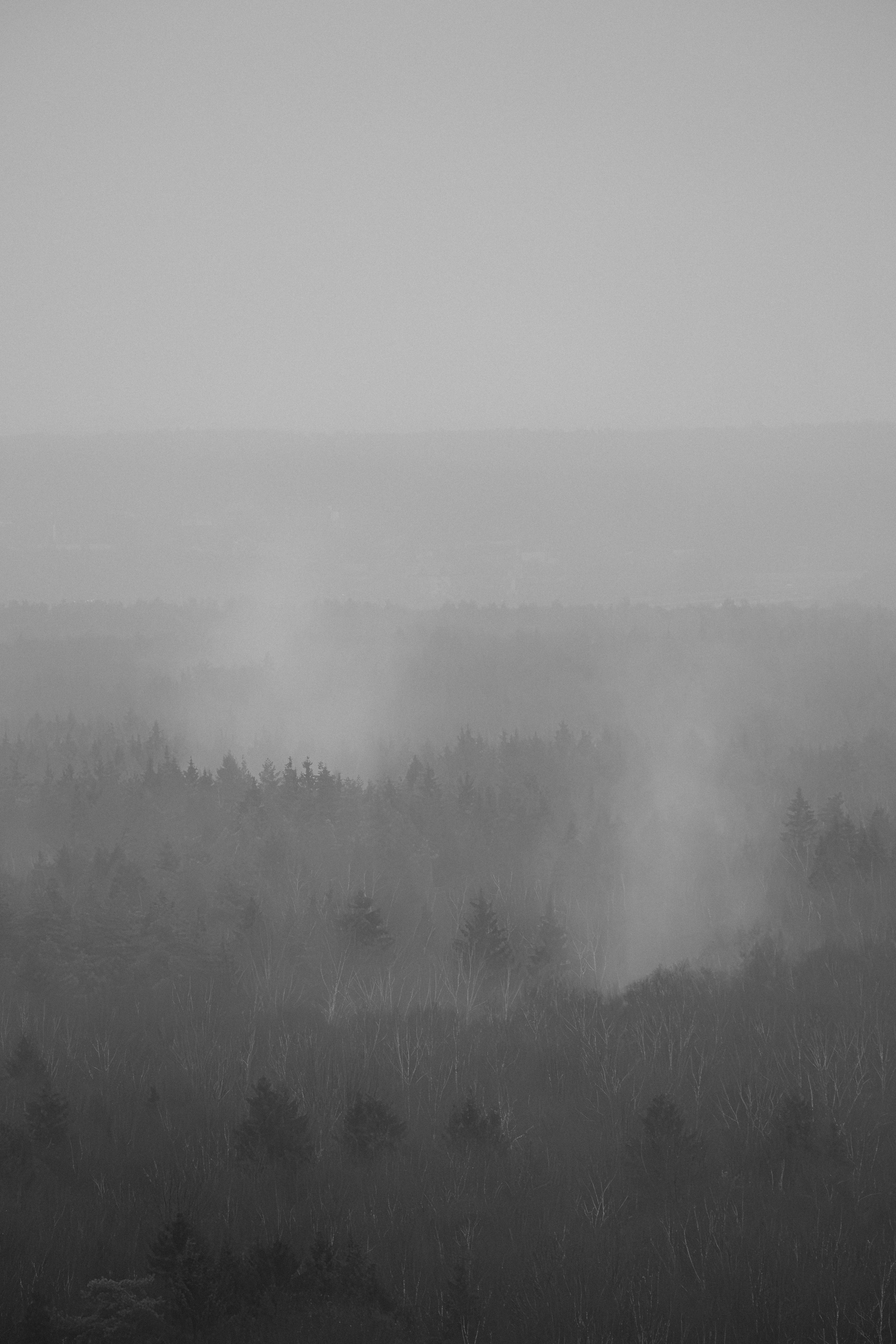 , Корж Владимир