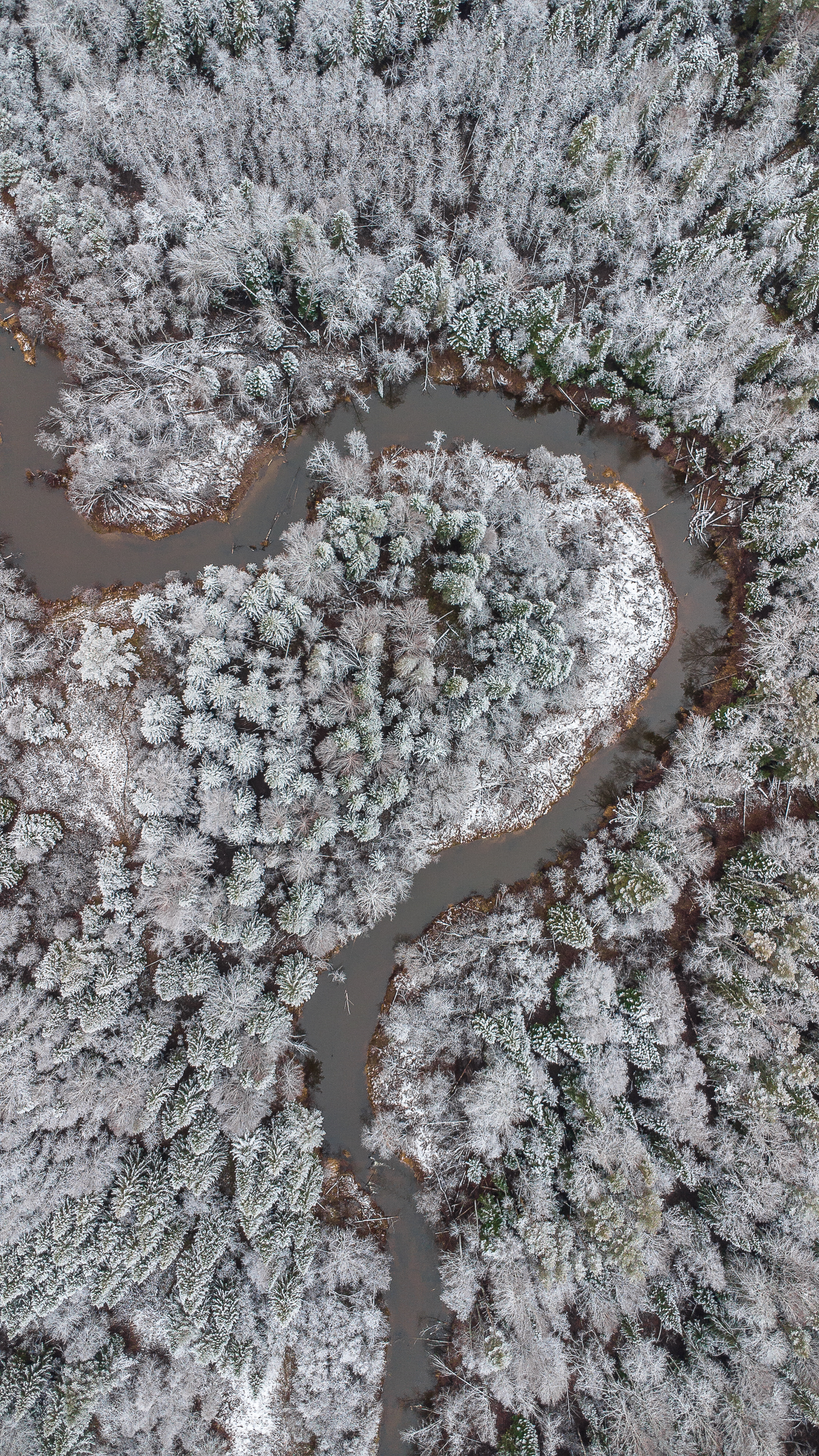 , Шуплецов Алексей