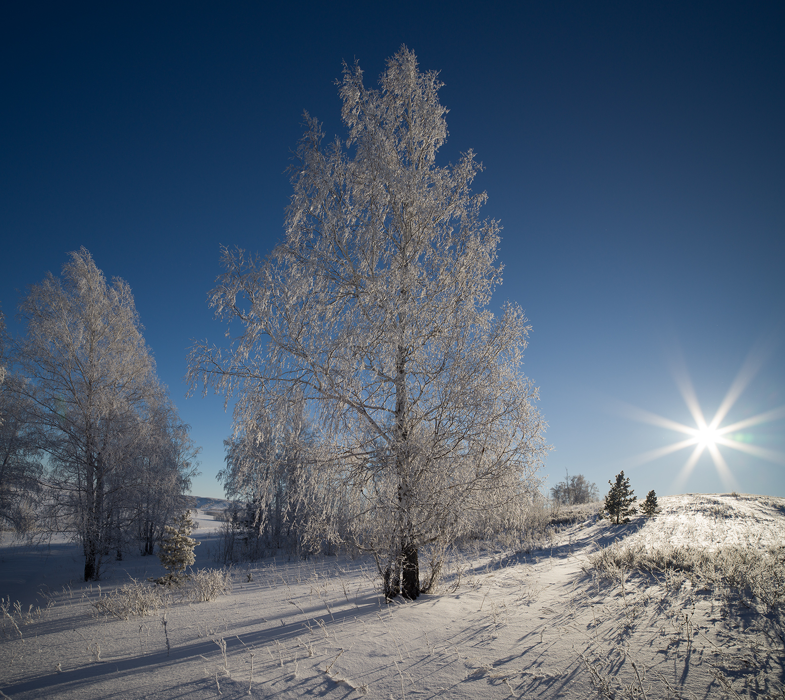, Шустиков Дмитрий