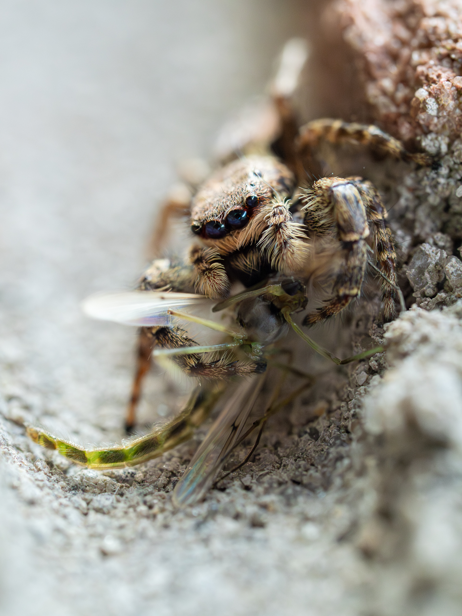 , Ирина Протченко