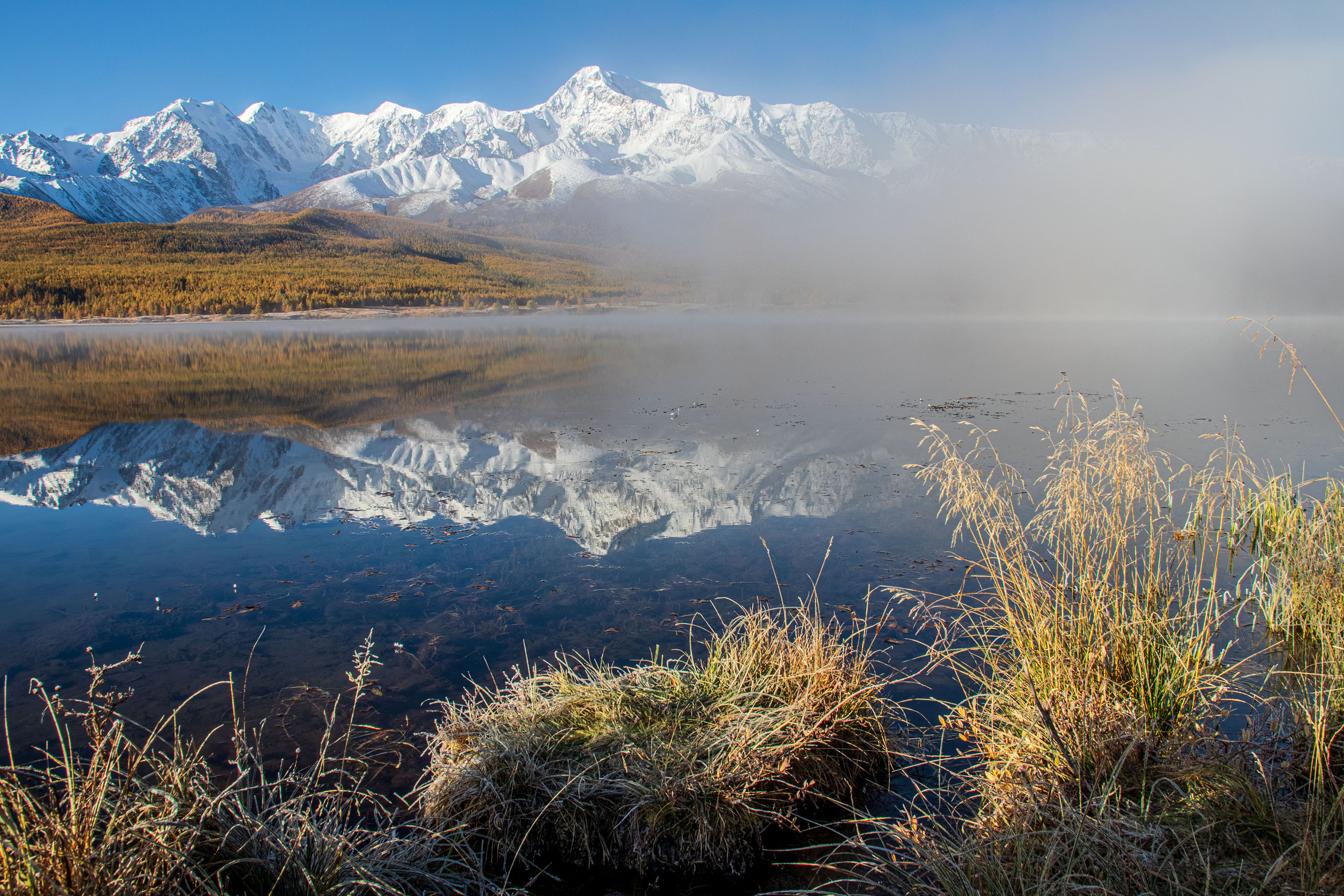 алтай, Добролюбова Тамара