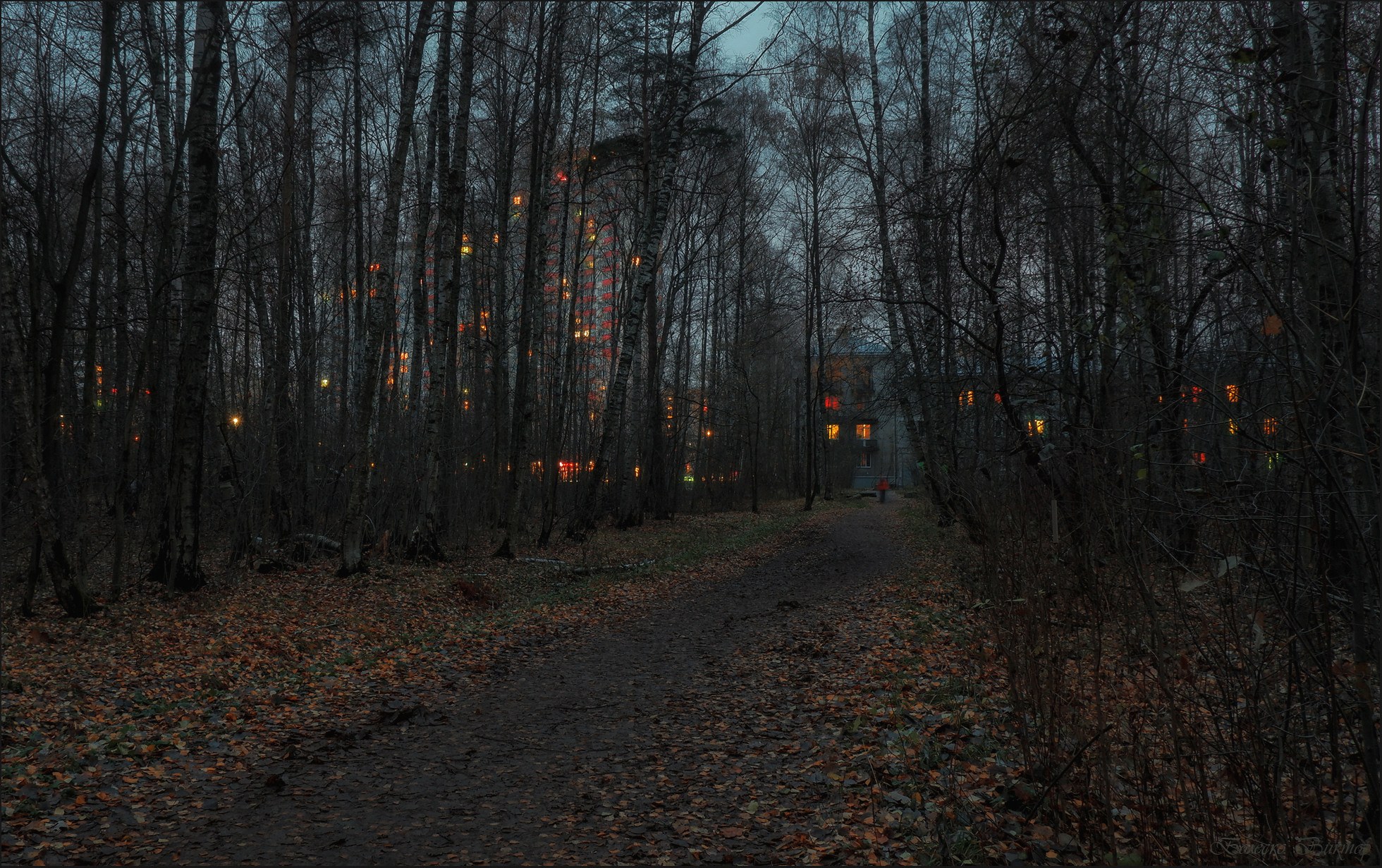 , Болеско Виктор