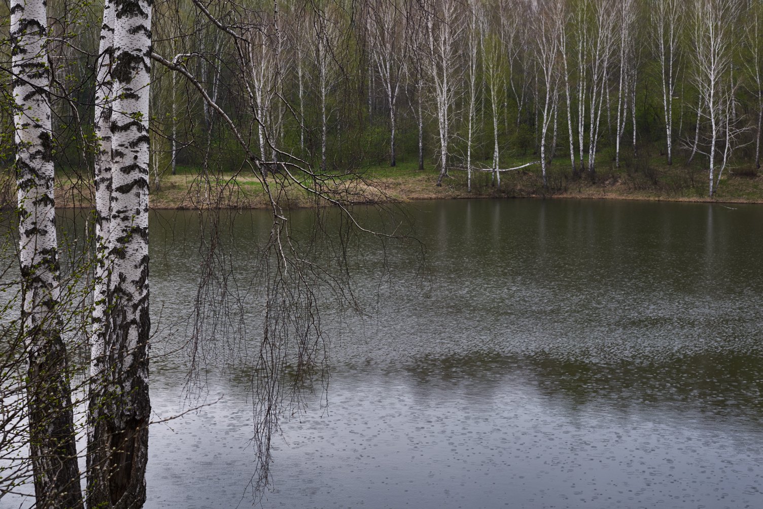 весна дождь озеро, Сергей Романчук
