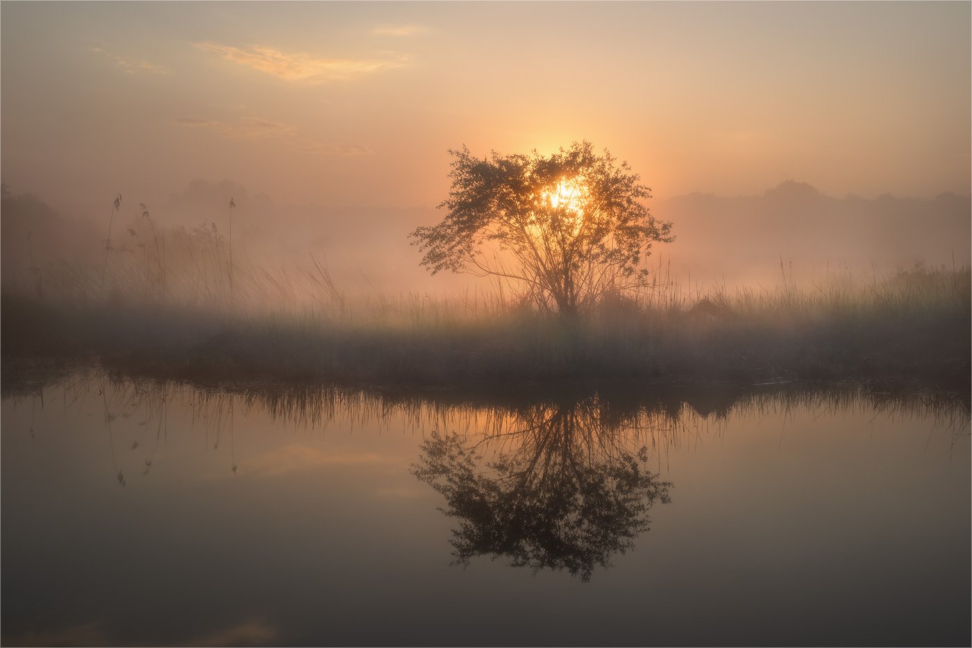 болото, весна, луг, озеро, отражение, туман, утро, Александр Киценко