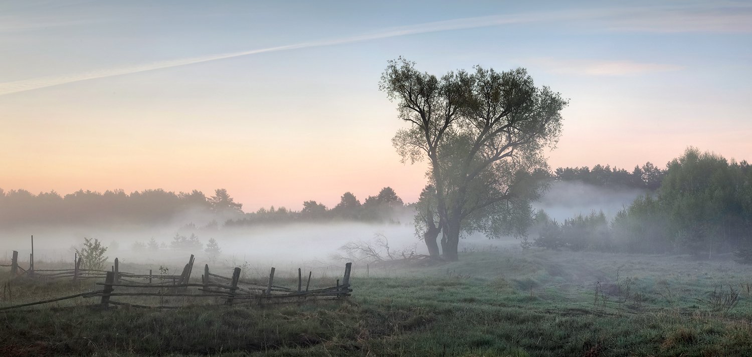 Утро туман деревня