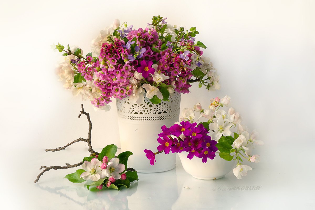 Весна, Натюрморт с цветами, Цветы, Вера Павлухина