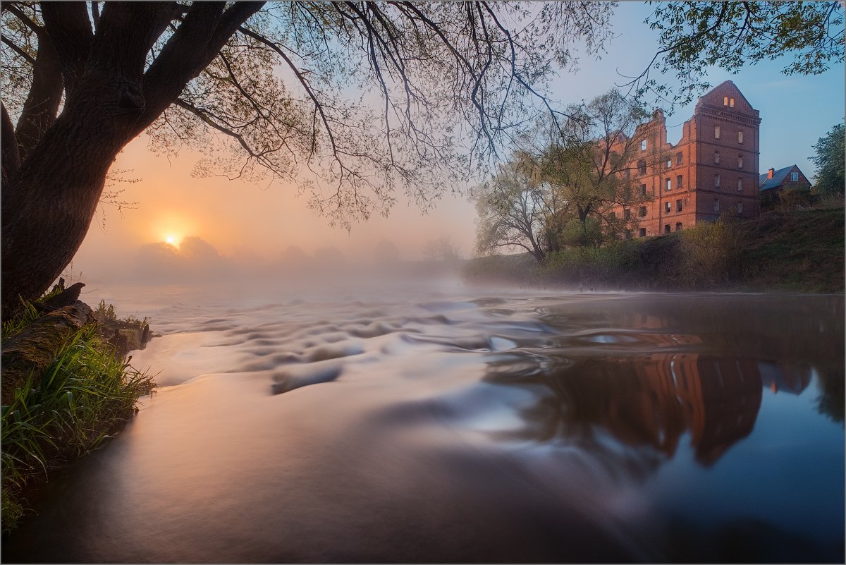 russia, river, sunrise, morning, , Elena Petrova