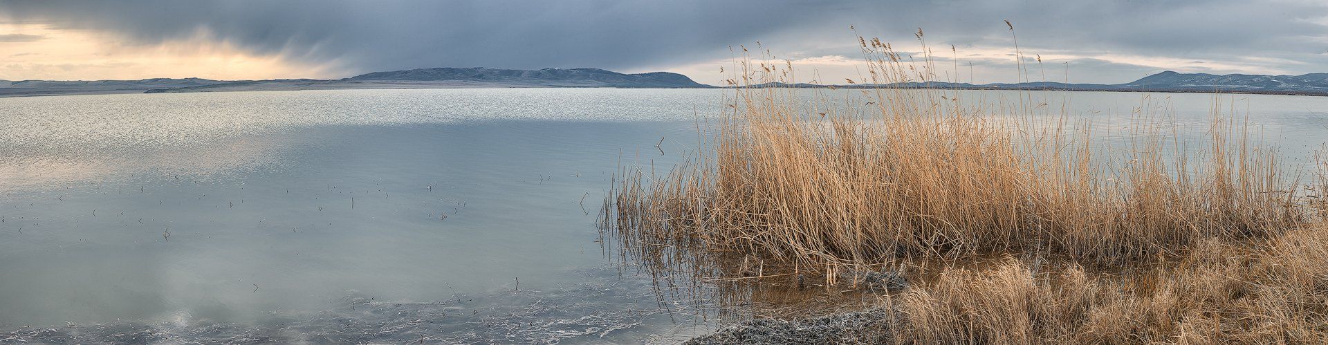 Хакасия, 2016, Озеро Черное, пейзаж, рассвет, вода, тростник, Дмитрий Дубиковский