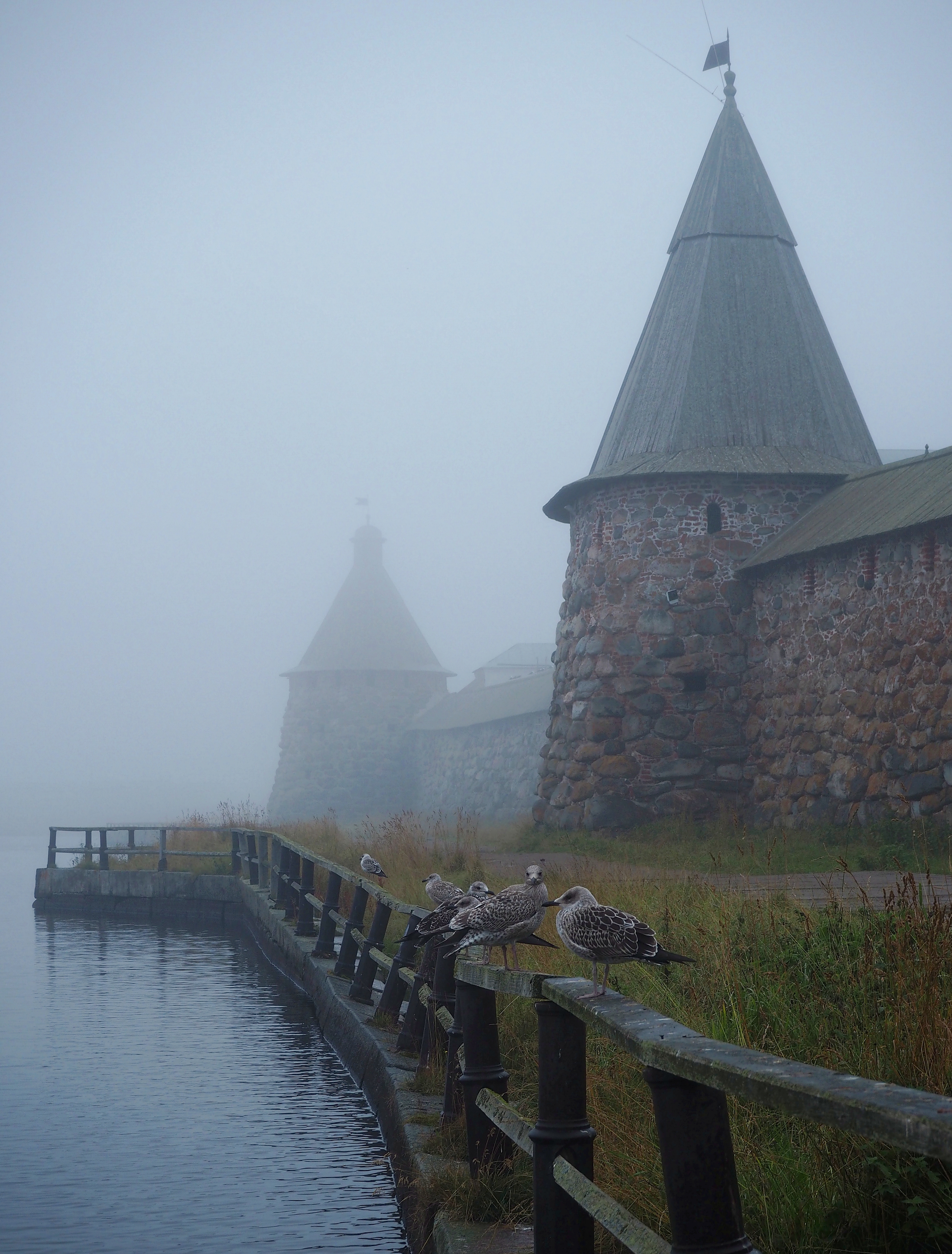 , Евгений Яковлев