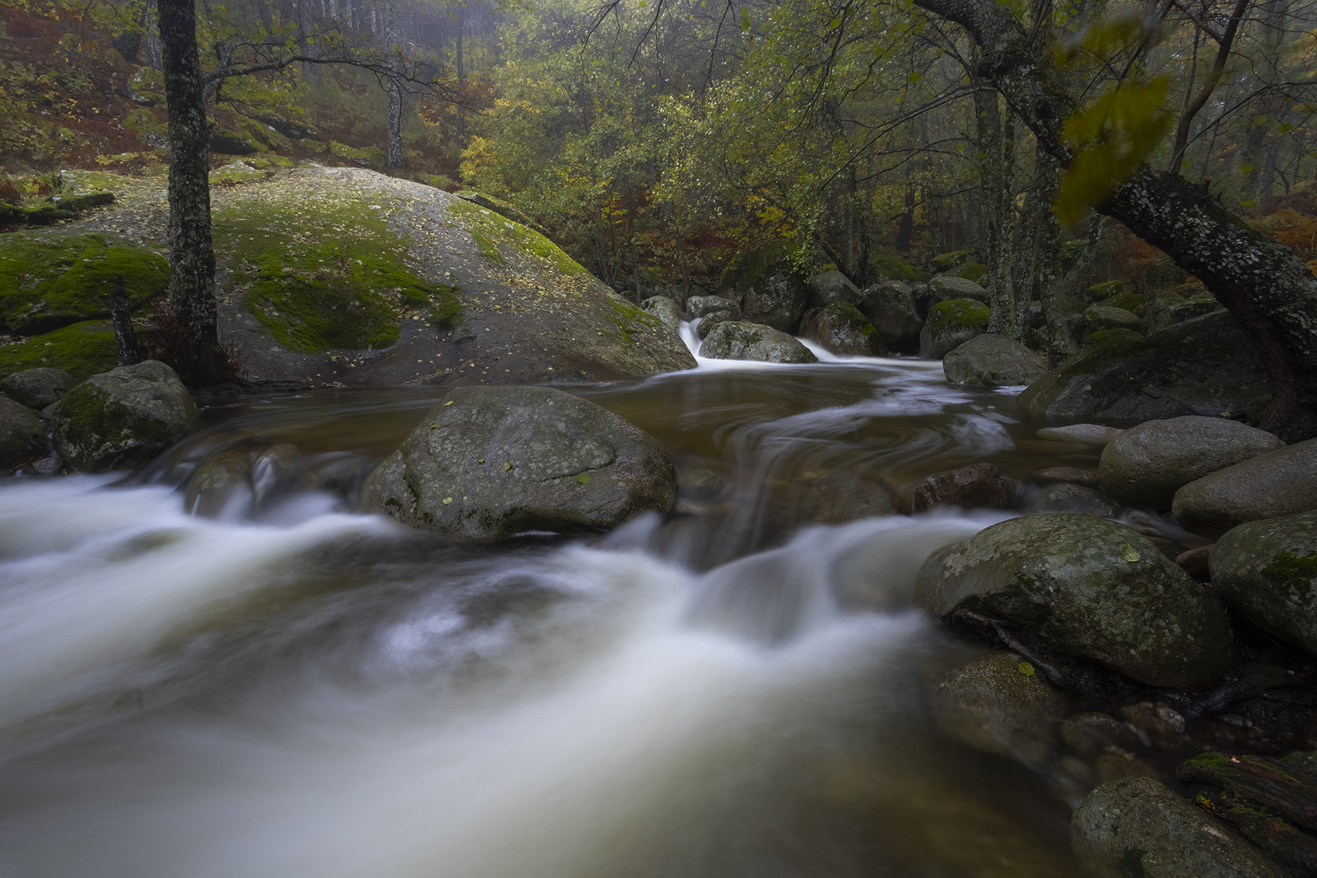 photography, mountain, autumn, flower, landscape, photo, awakening, flowers, land, landmark, lands, dramatic ligth, ligth, mountains, jimenez millan samuel