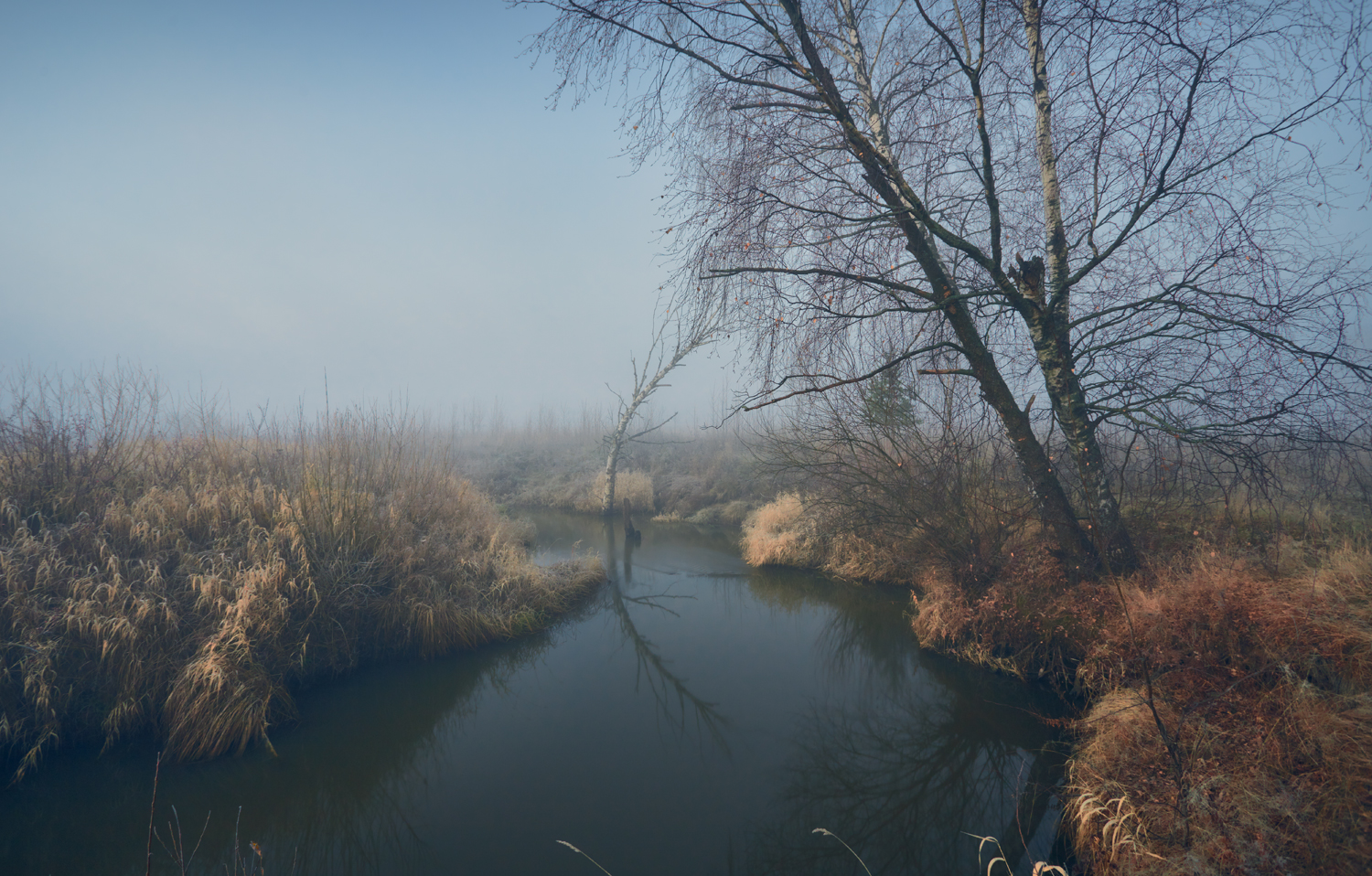 , Роман Лушпа