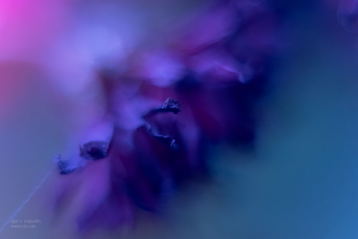 , Капустин Игорь