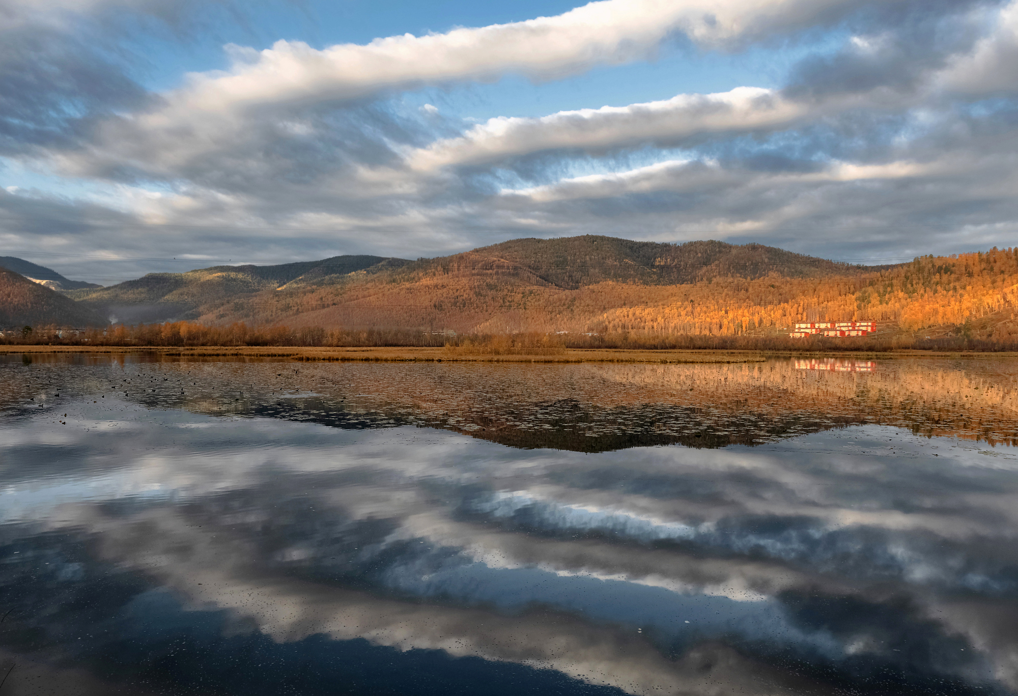 утро, отражение, листвянка, Марина Фомина