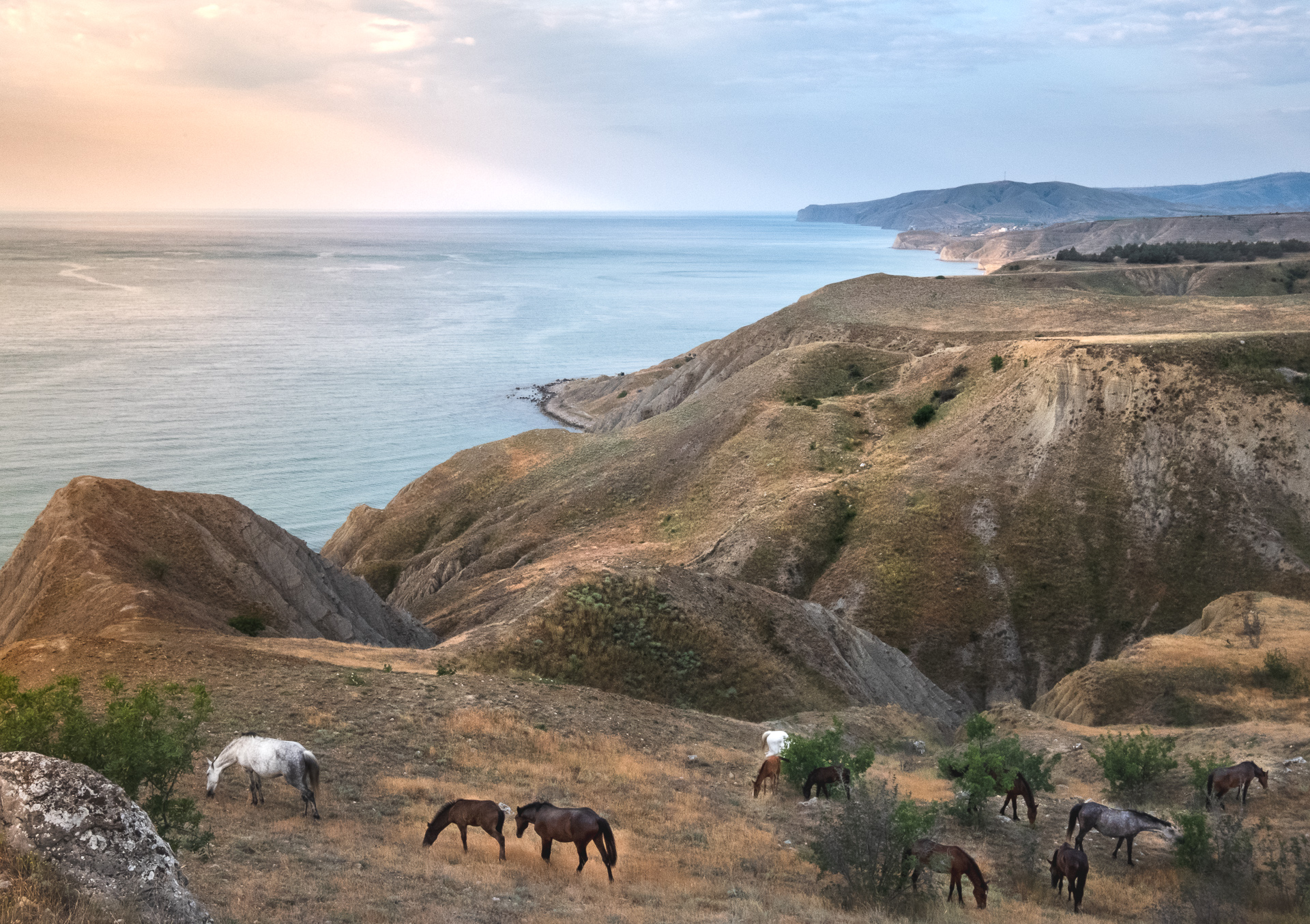 , Коротеев Вадим