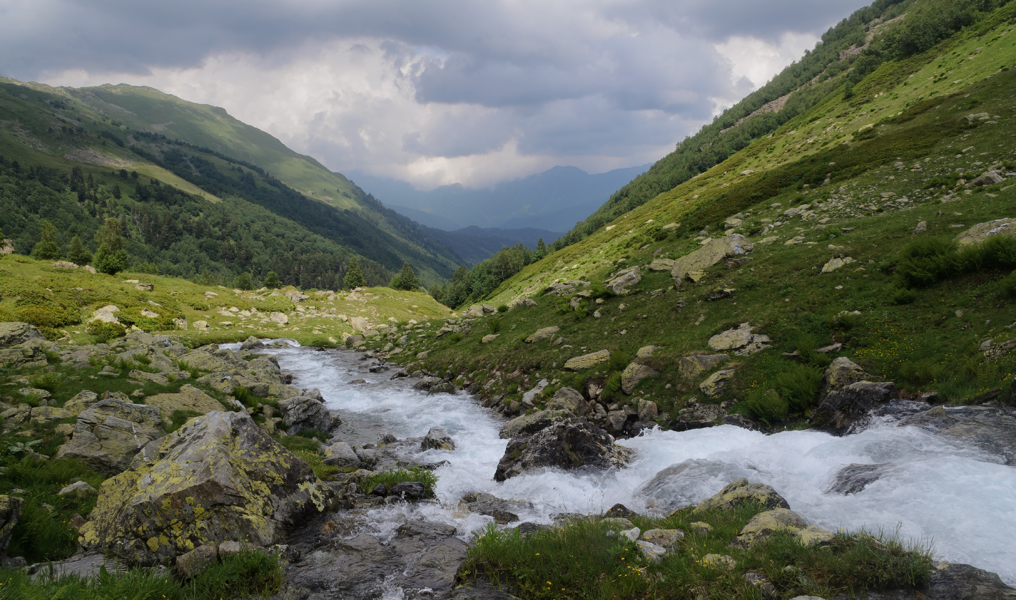 , Лысенко Сергей