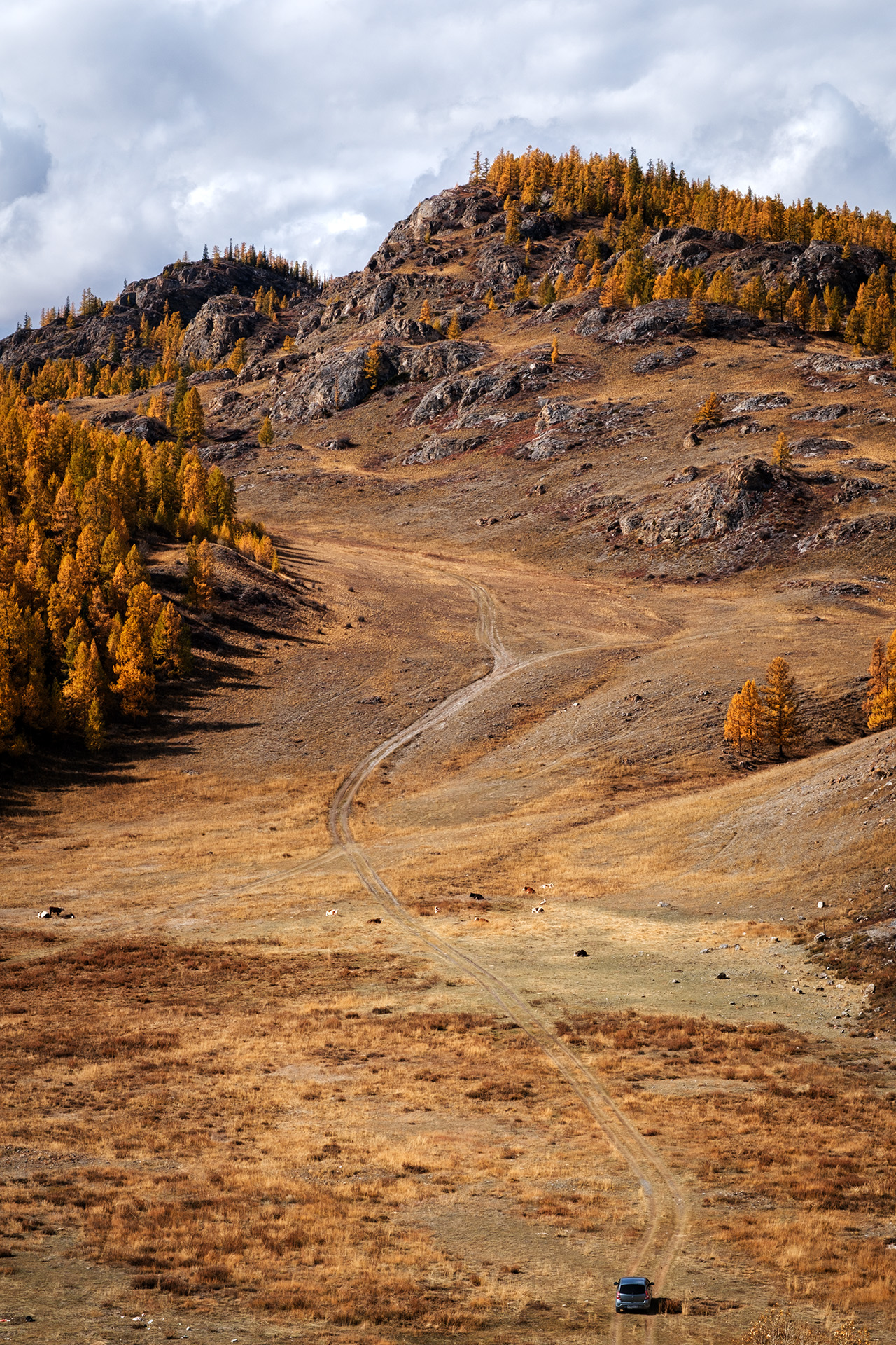 , Бодрягин Виталий