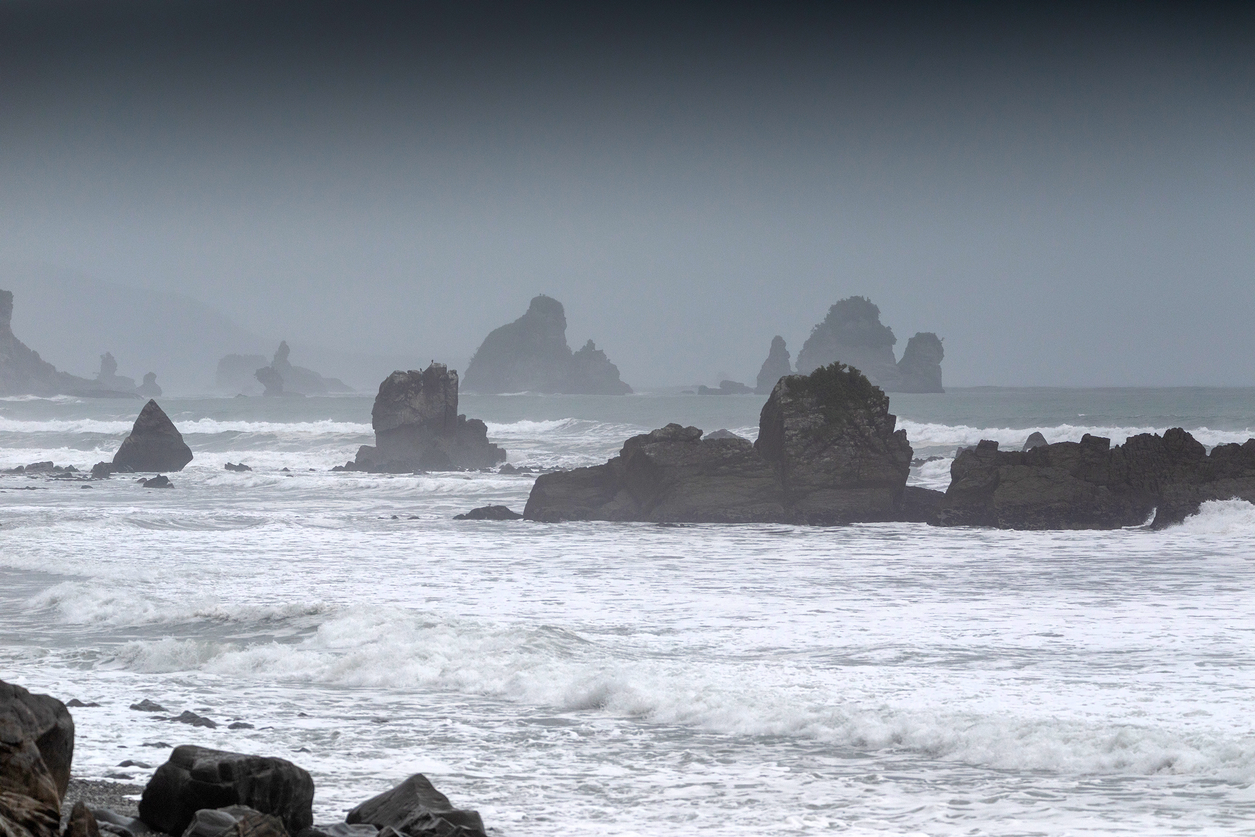 тасмановоморе,, Павел Ващенков