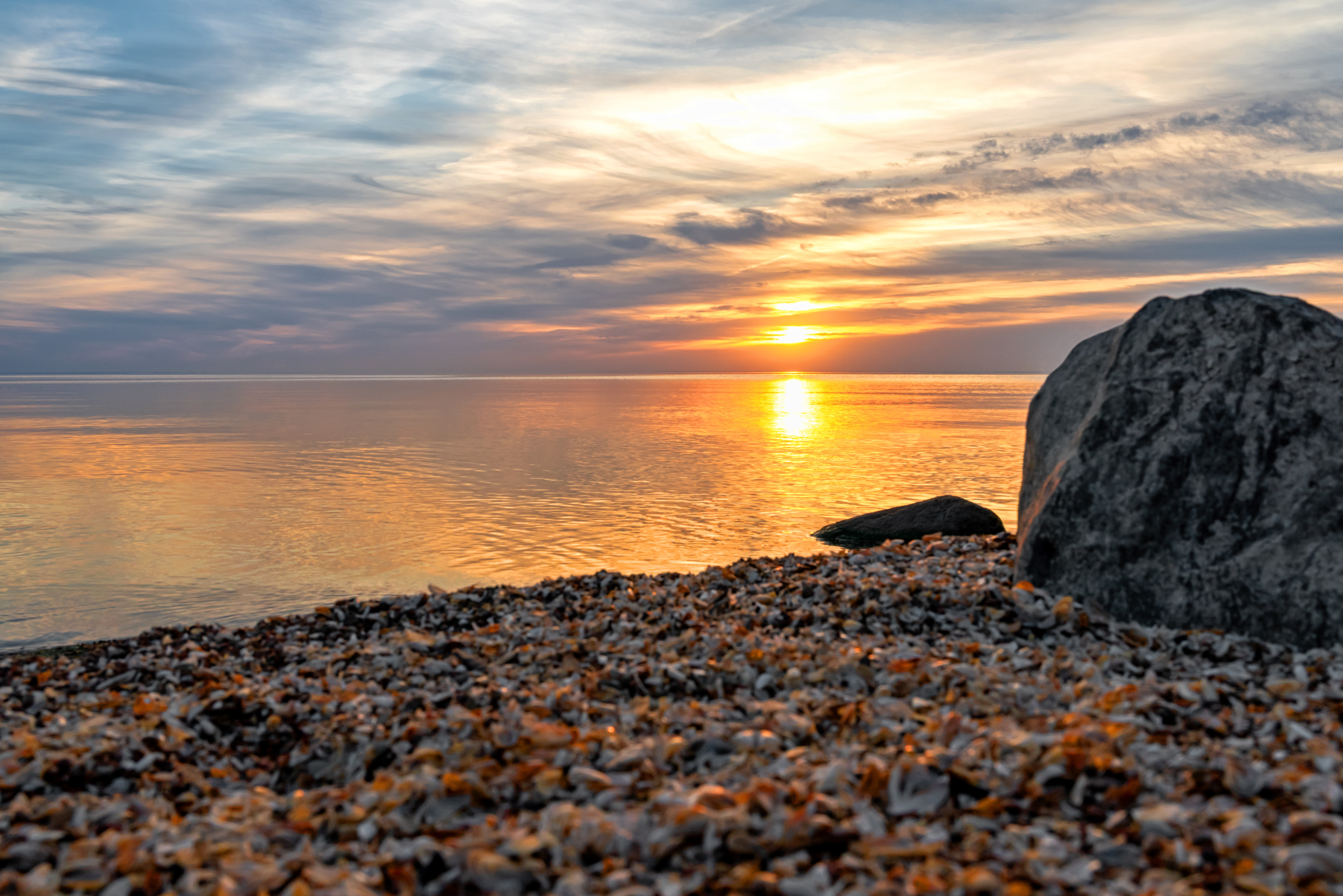 , Желенговский Виктор
