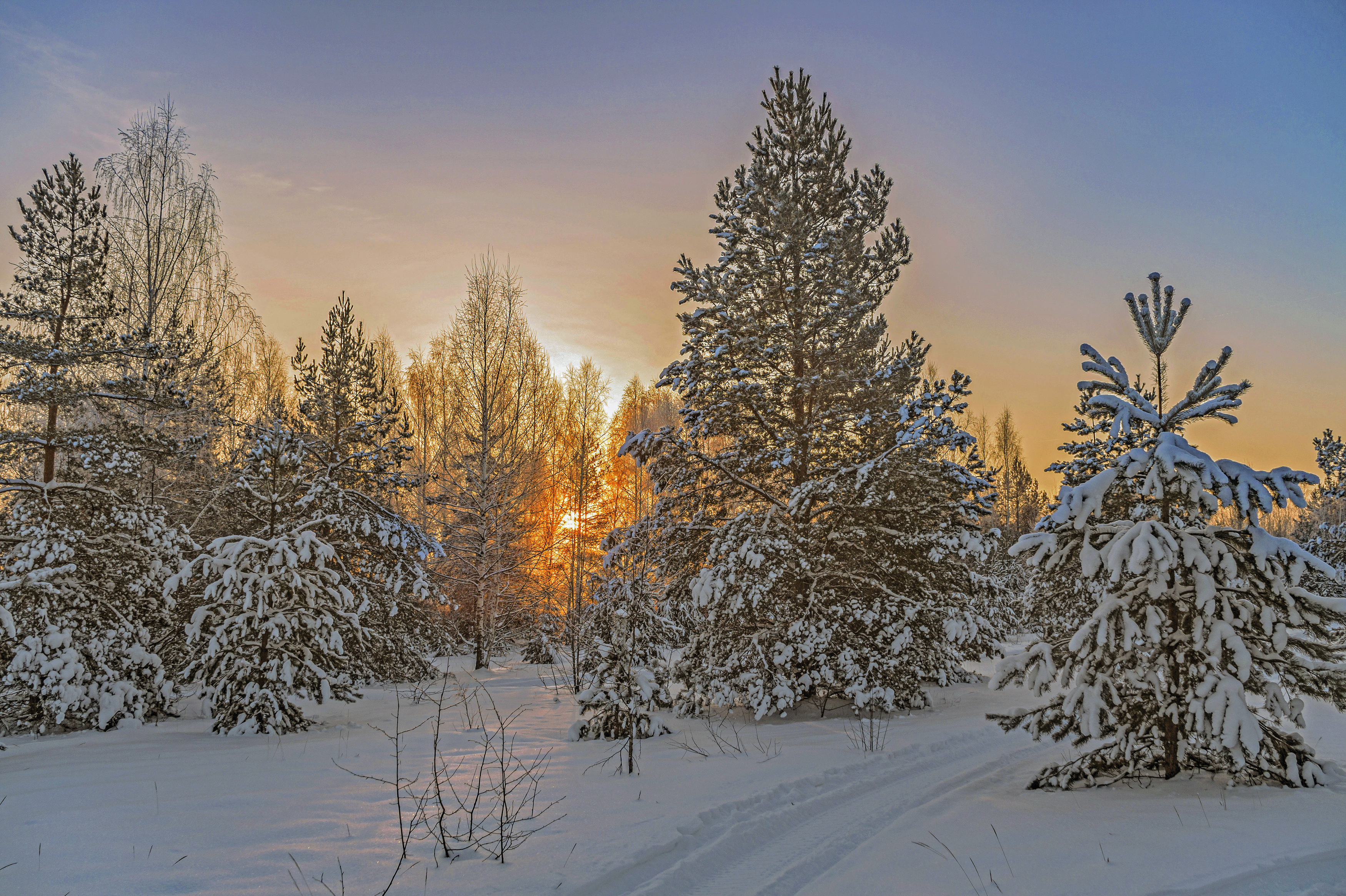 , Шитов Александр